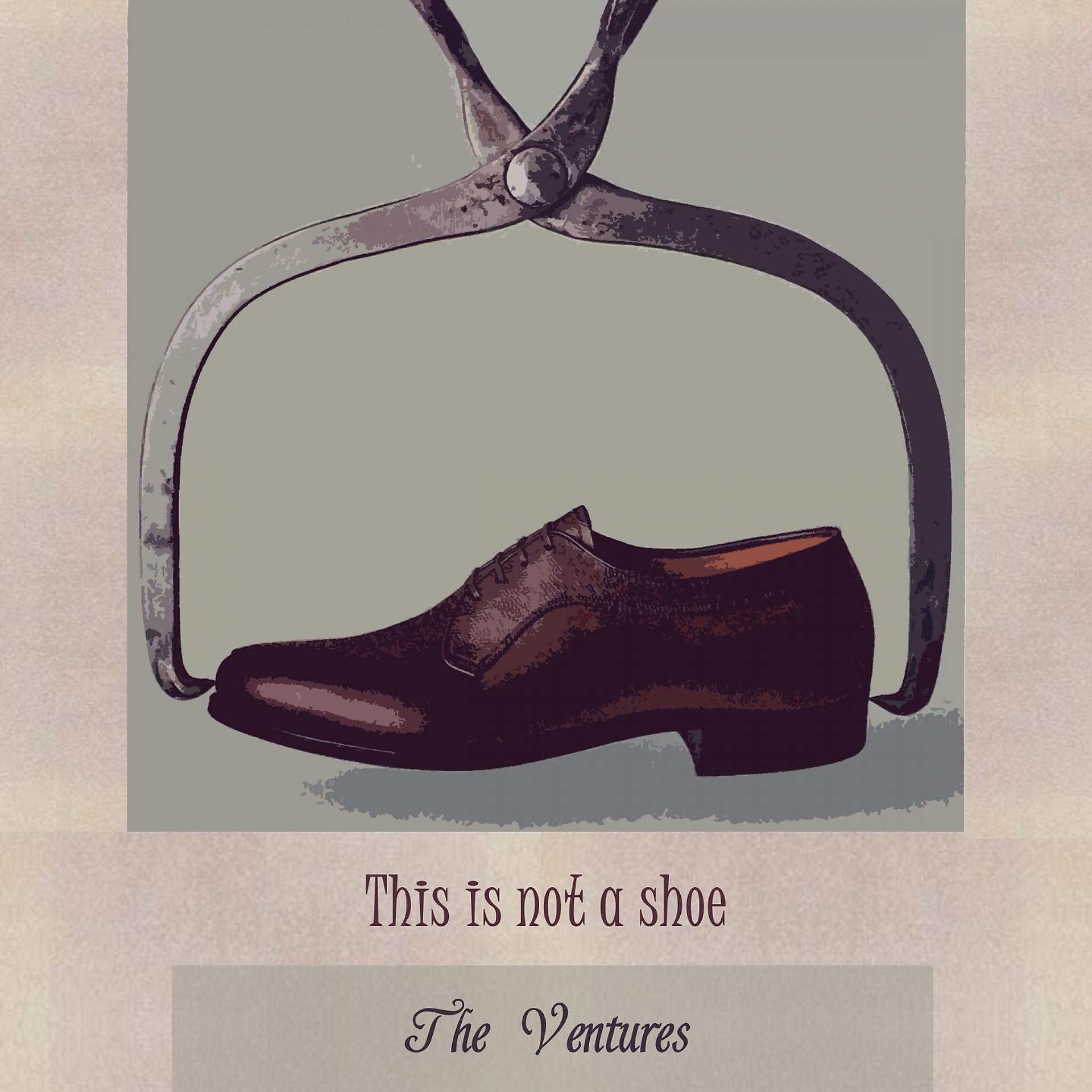 Постер альбома This Is Not A Shoe