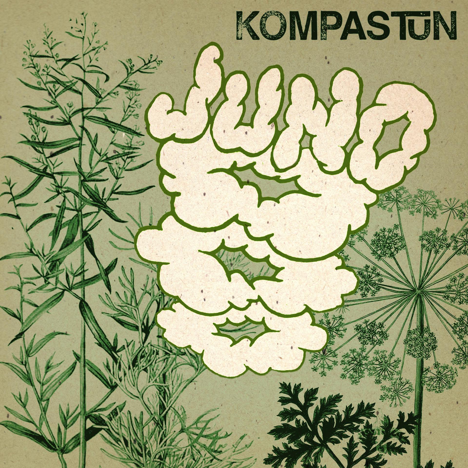 Постер альбома Kompastun