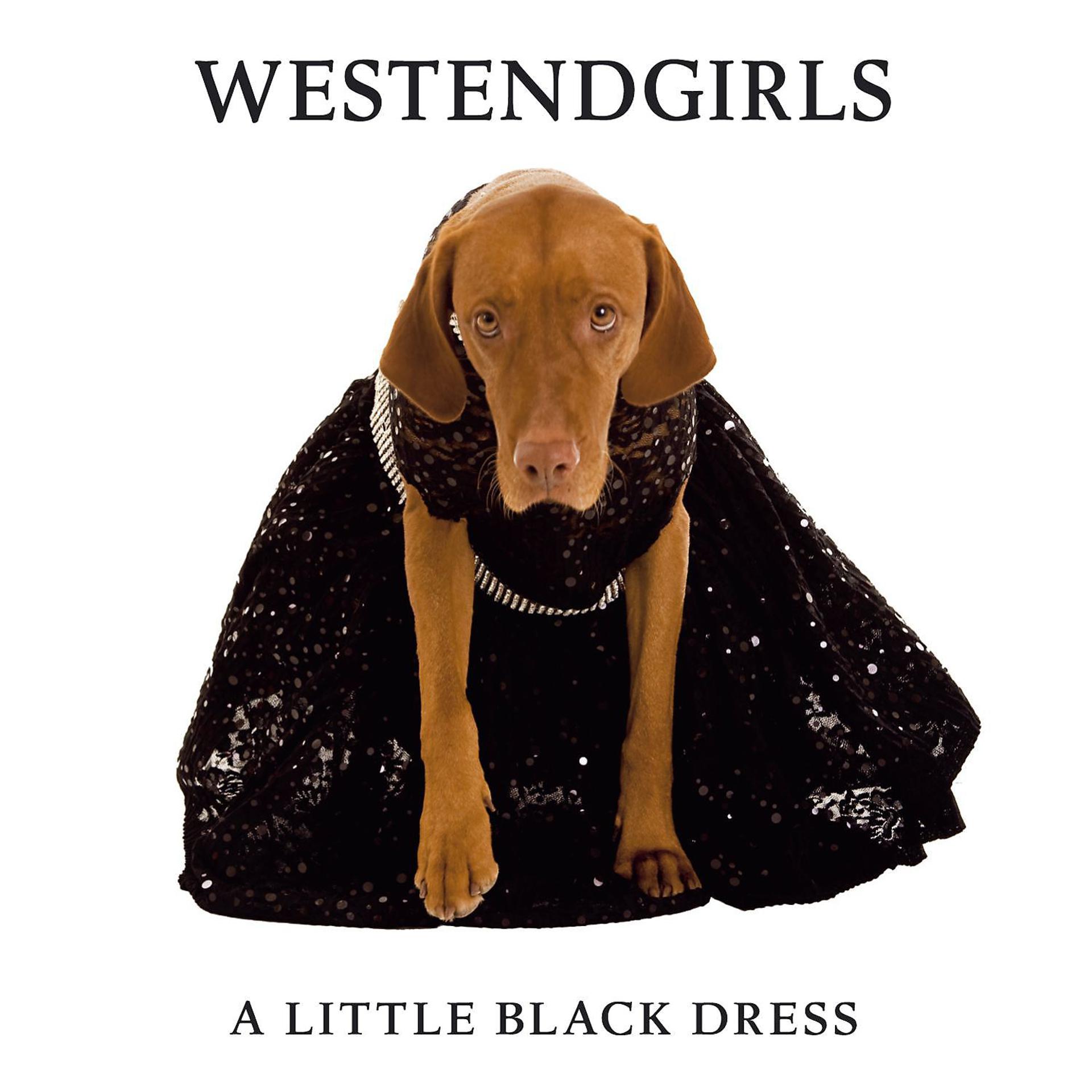 Постер альбома A Little Black Dress