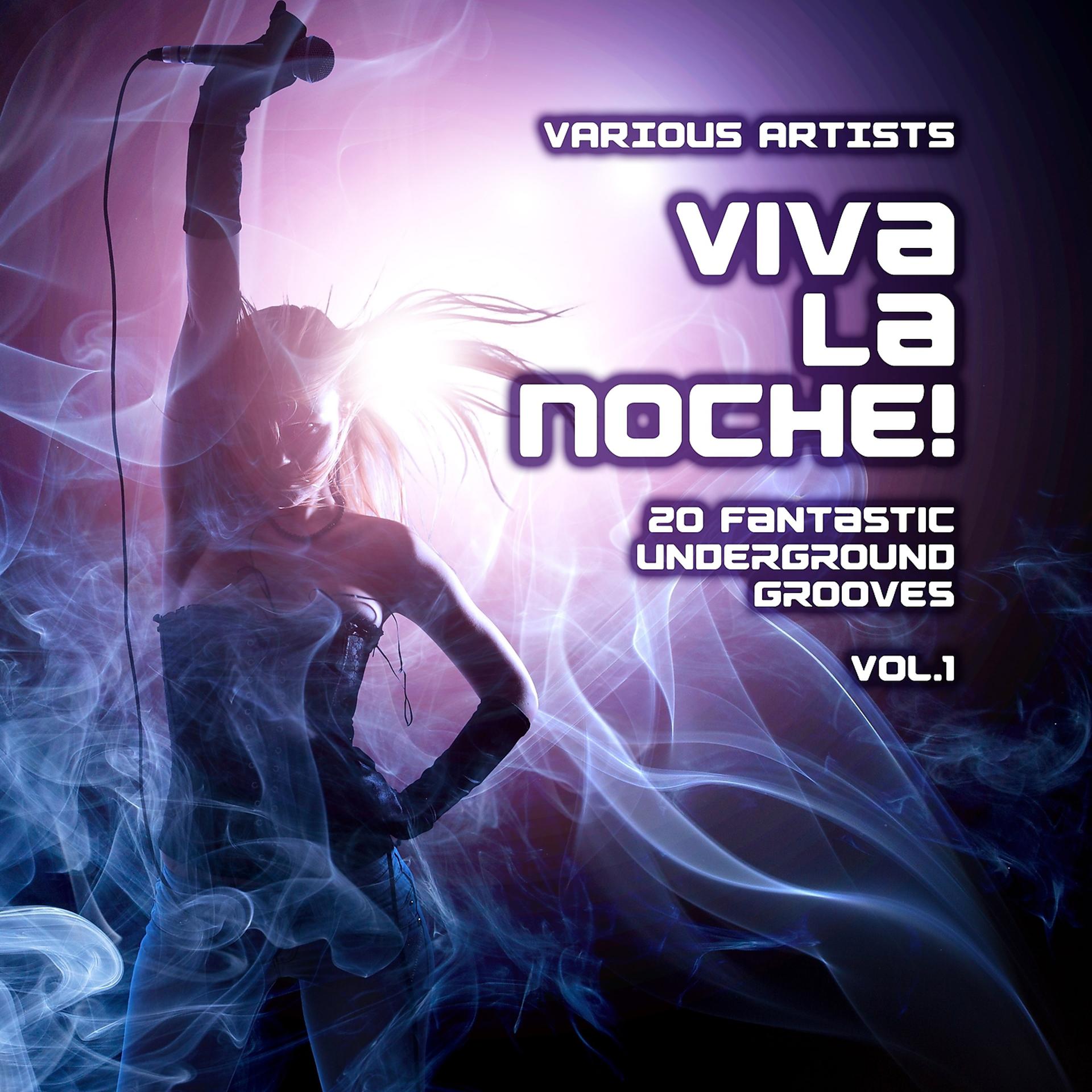 Постер альбома Viva La Noche! (20 Fantastic Underground Grooves), Vol. 1