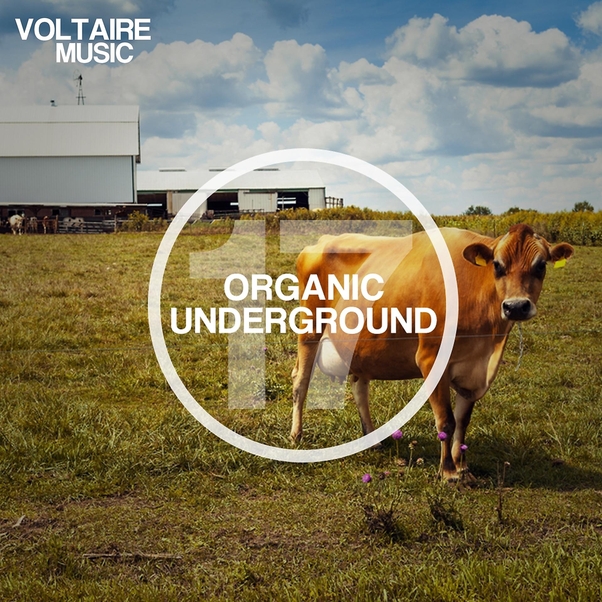Постер альбома Organic Underground Issue 17