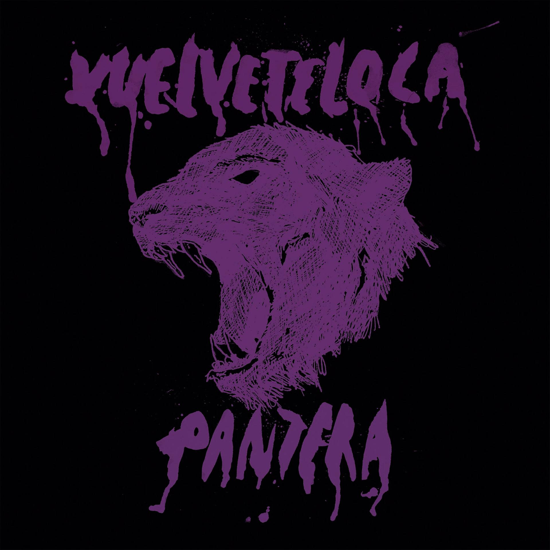Постер альбома Pantera