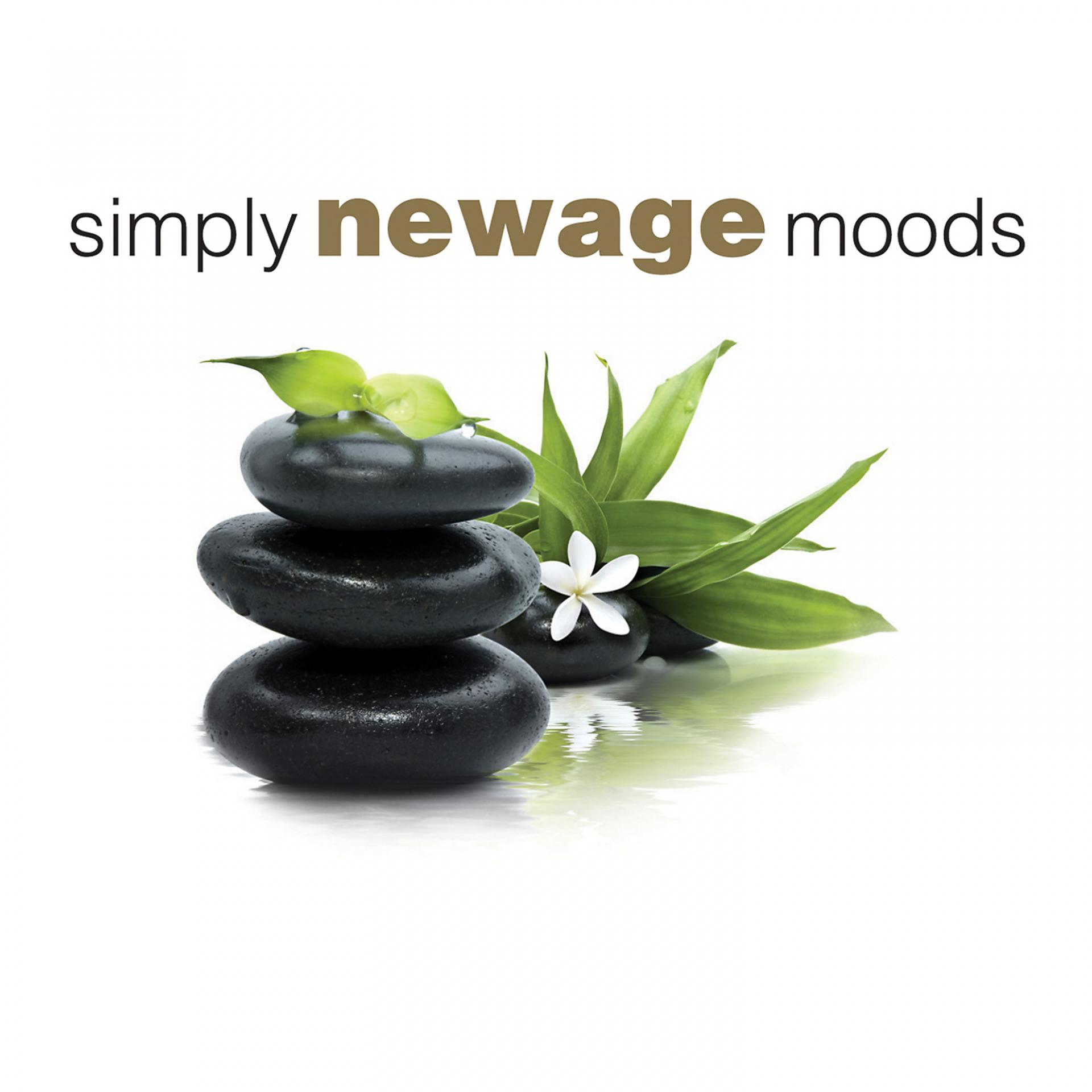 Постер альбома Simply Newage Moods