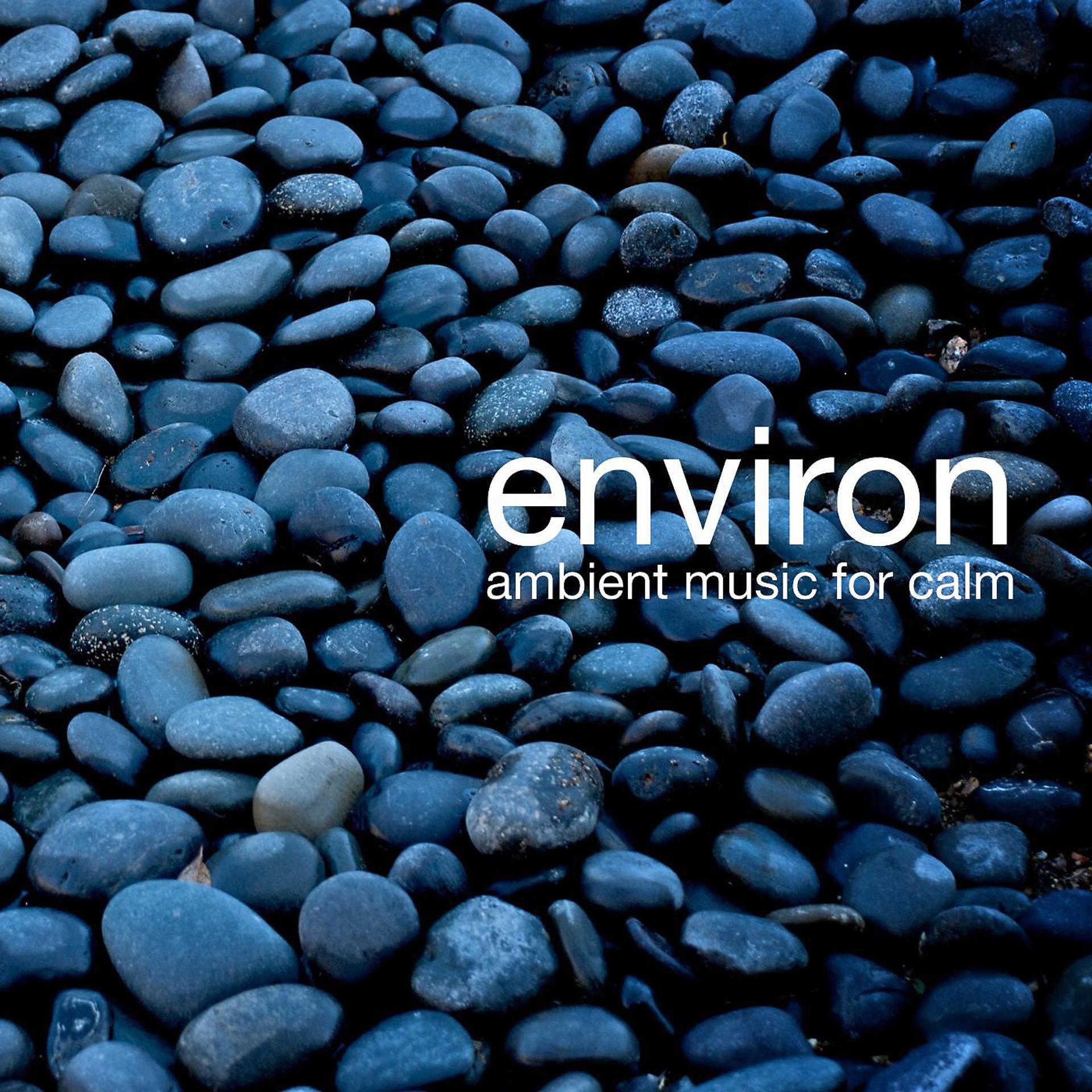 Постер альбома Environ: Ambient Music for Calm