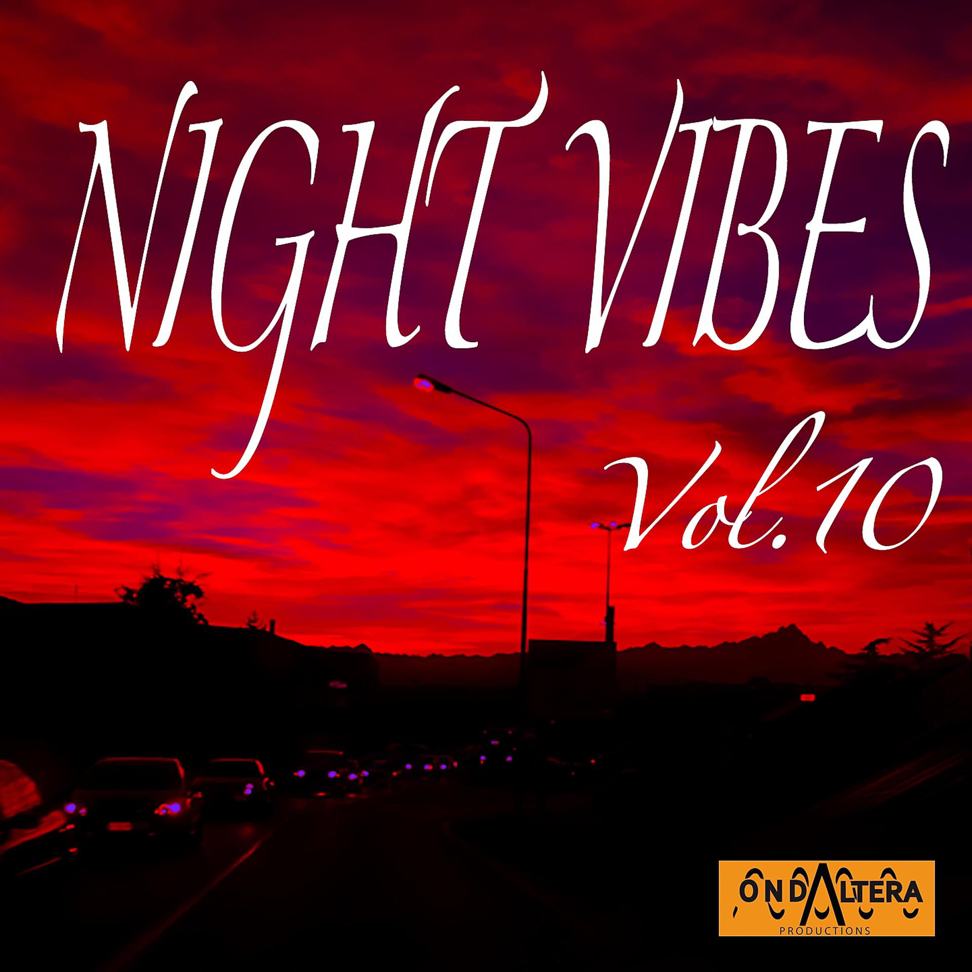 Постер альбома Night Vibes, Vol. 10
