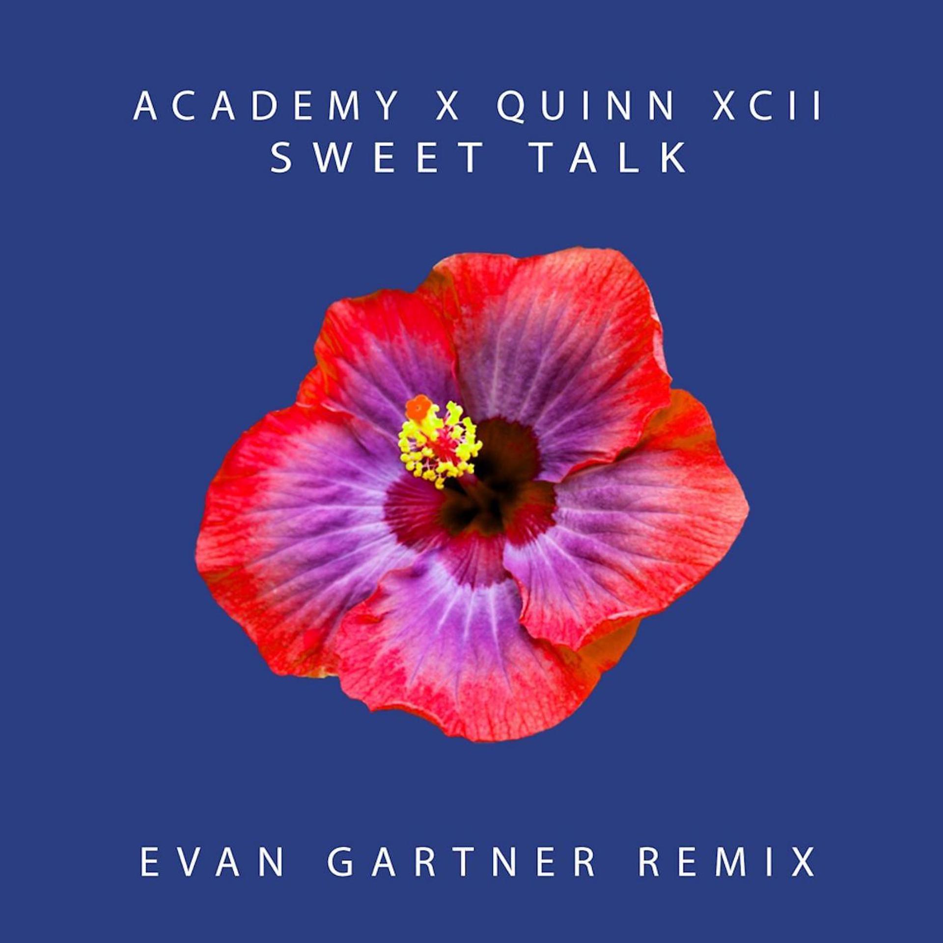 Постер альбома Sweet Talk (Evan Gartner Remix) [feat. Quinn XCII]