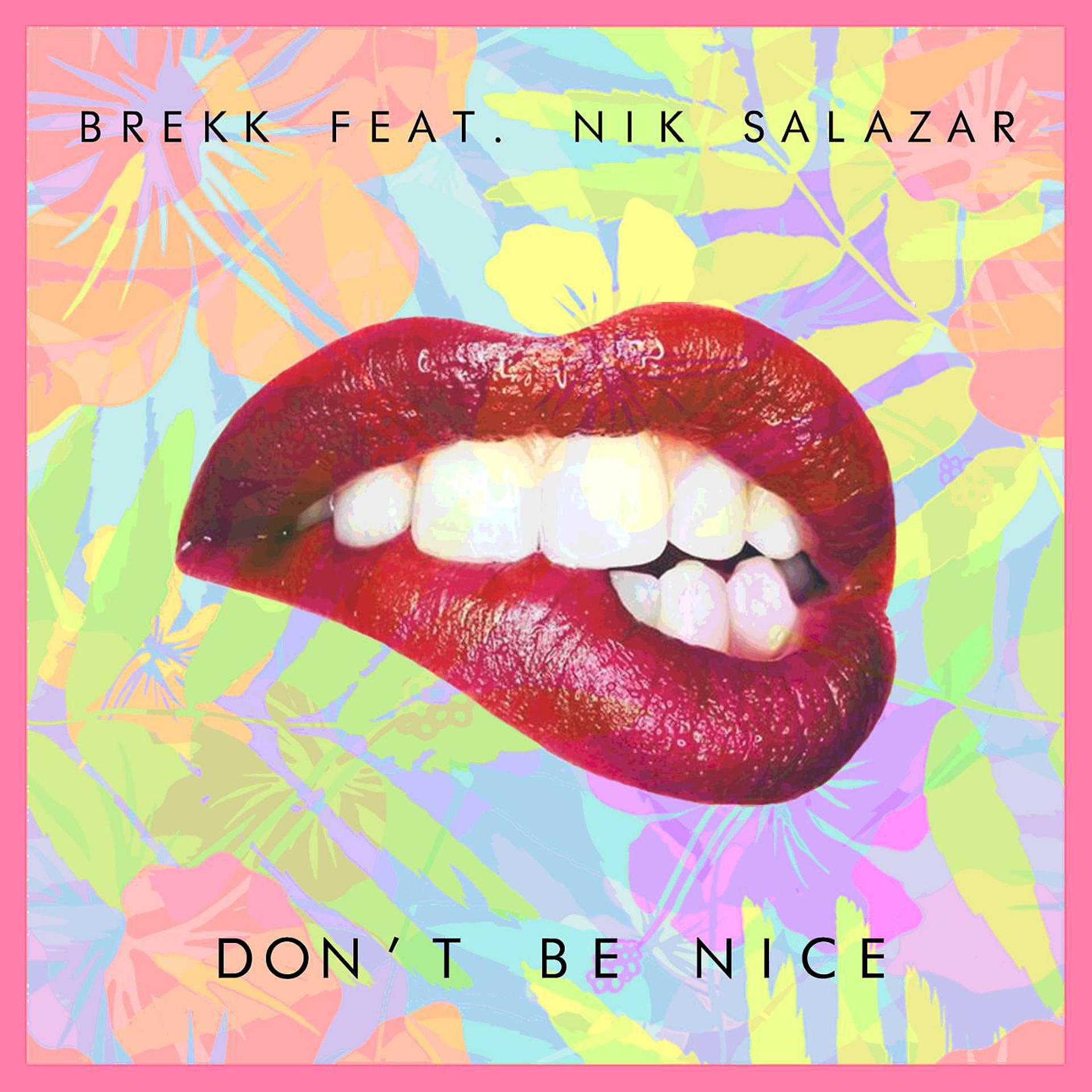 Постер альбома Don't Be Nice (Extended Mix) [feat. Nik Salazar]