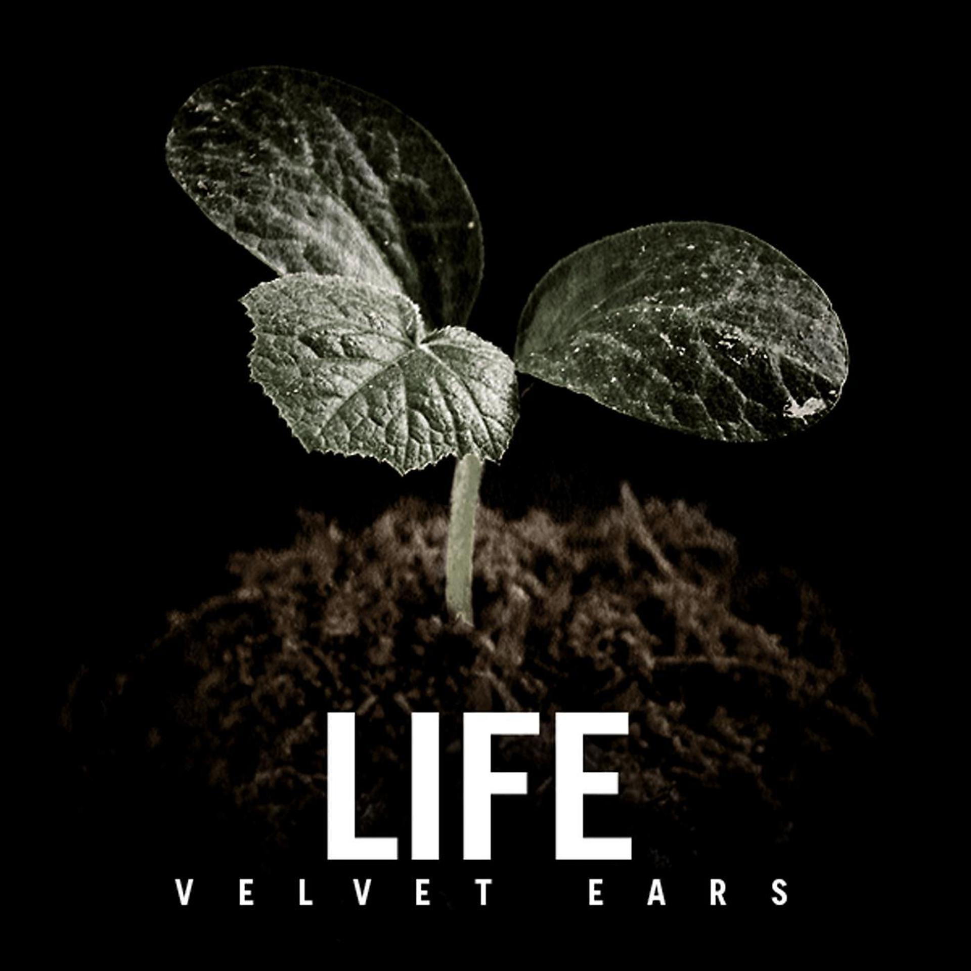 Постер альбома Velvet Ears: Life