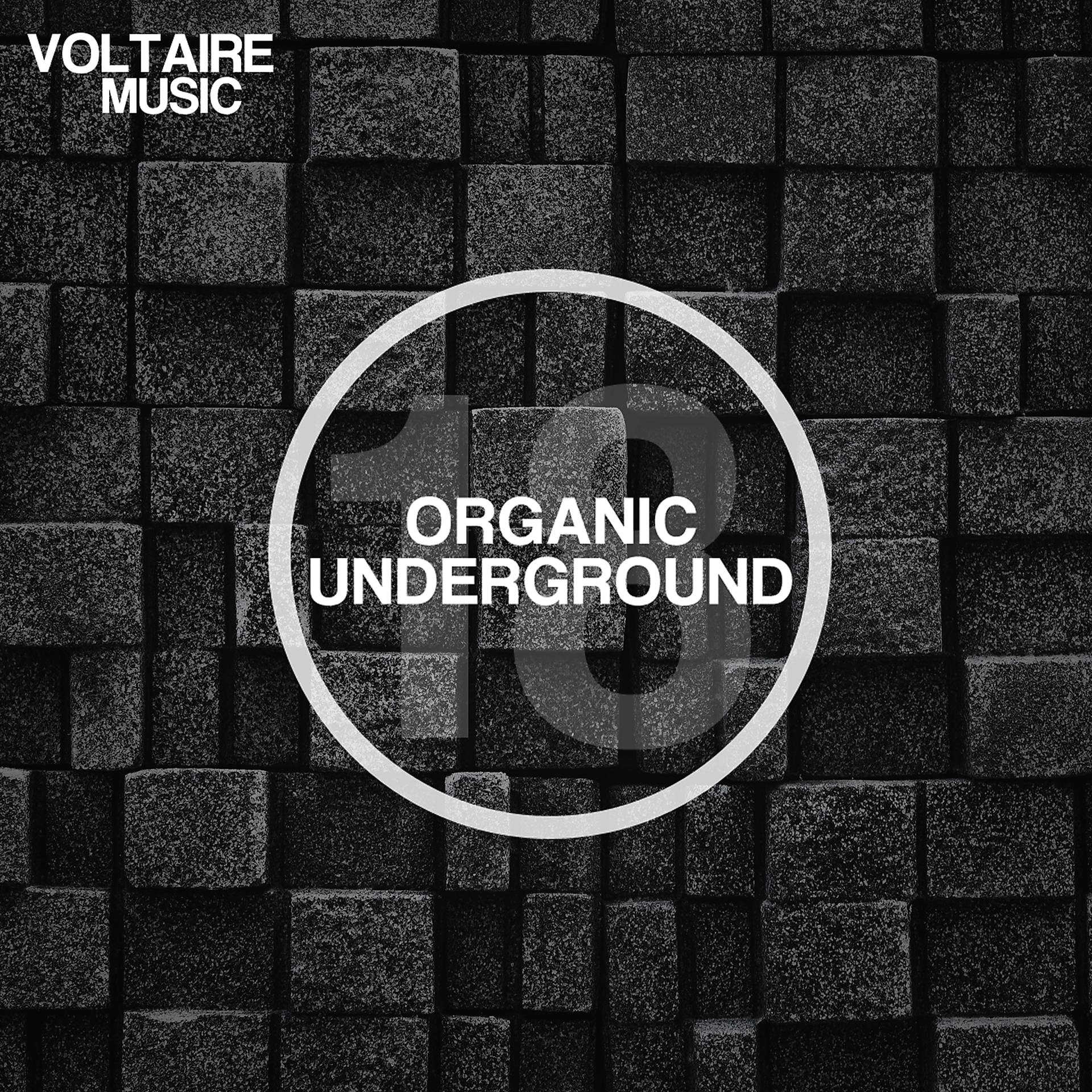 Постер альбома Organic Underground Issue 18