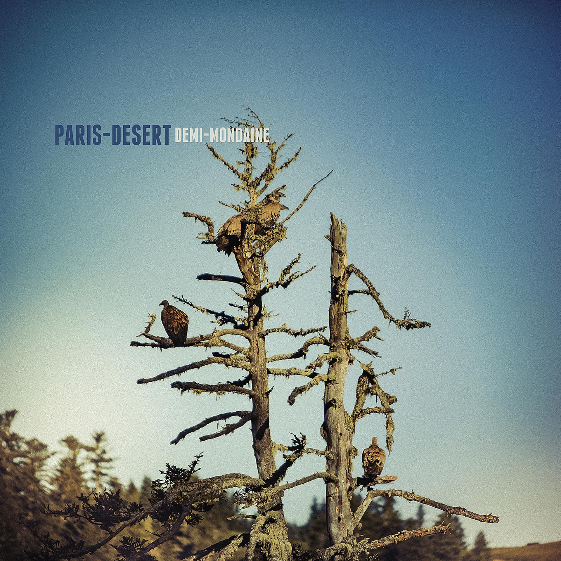Постер альбома Paris désert