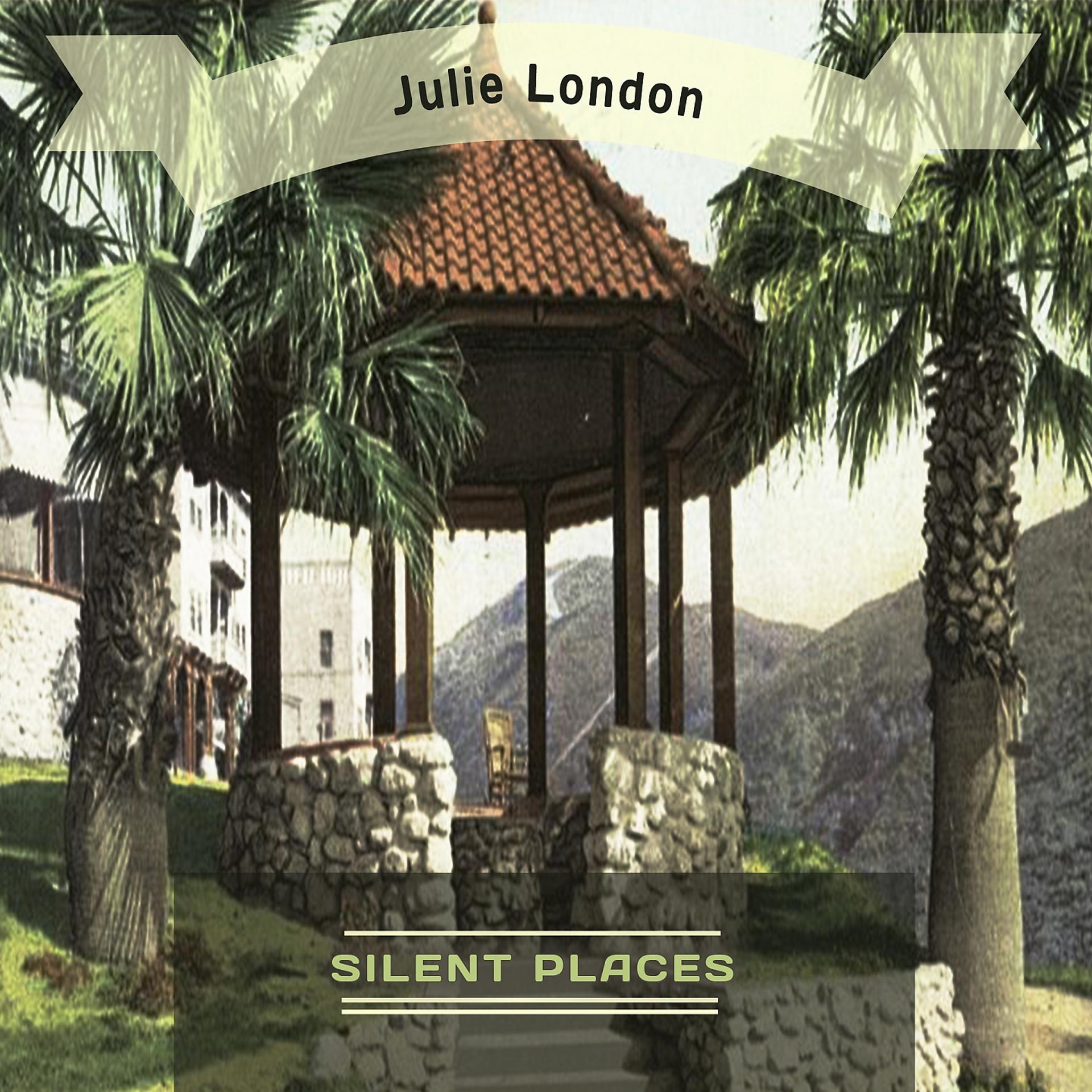 Постер альбома Silent Places