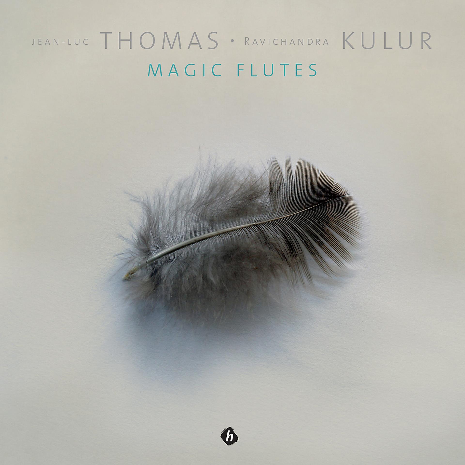 Постер альбома Magic Flutes