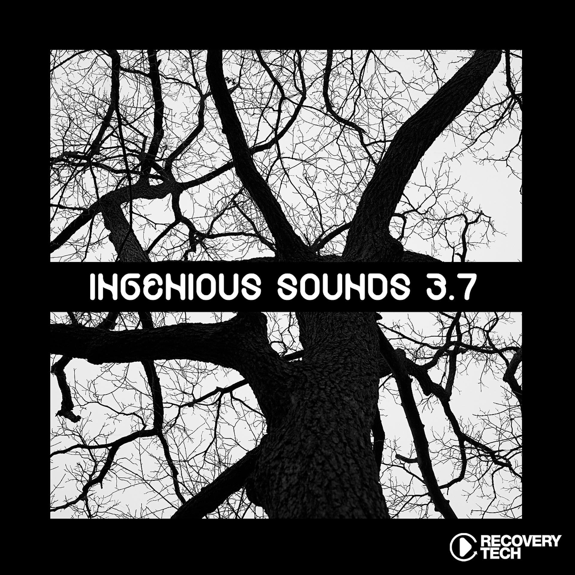 Постер альбома Ingenious Sounds, Vol. 3.7