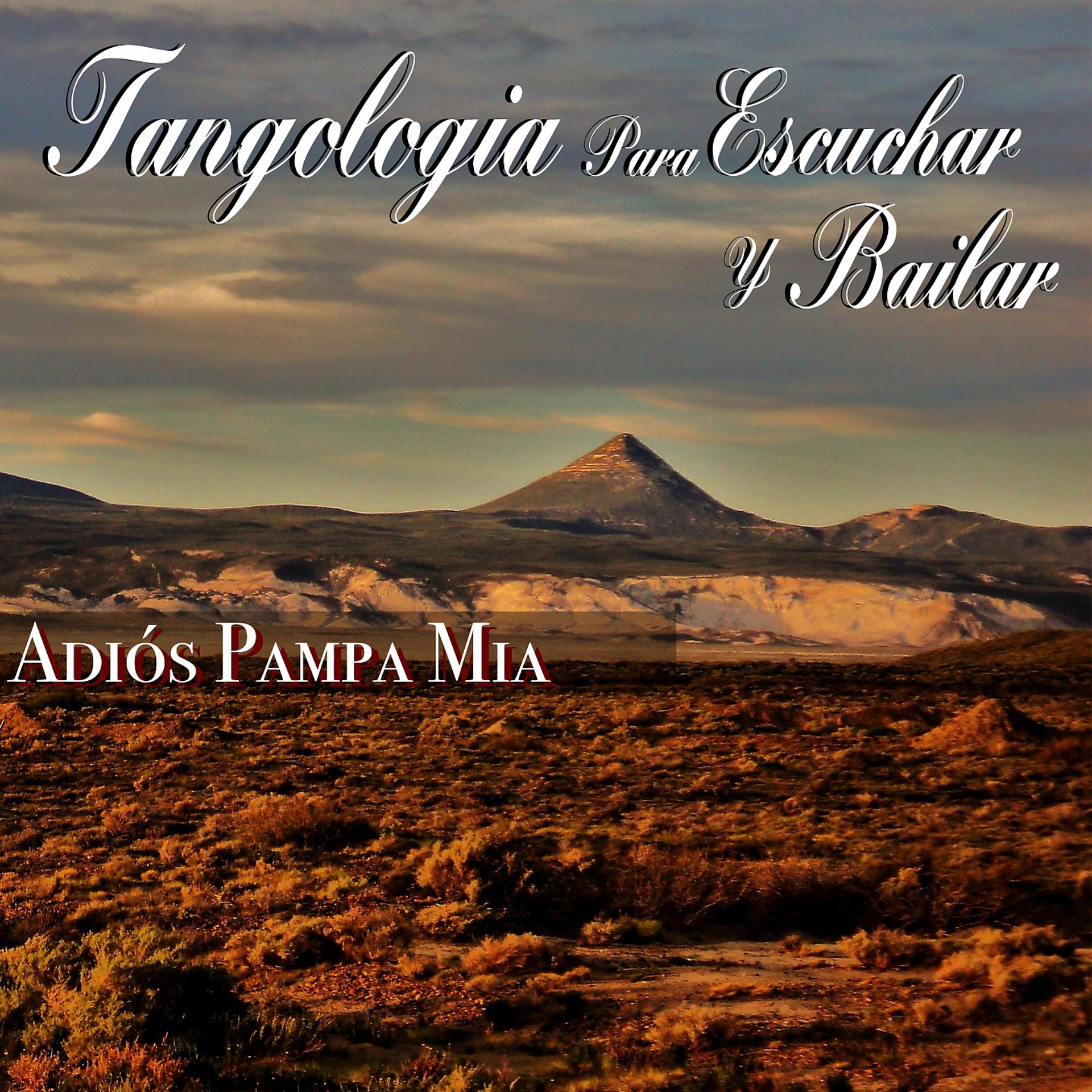 Постер альбома Adios Pampa Mia