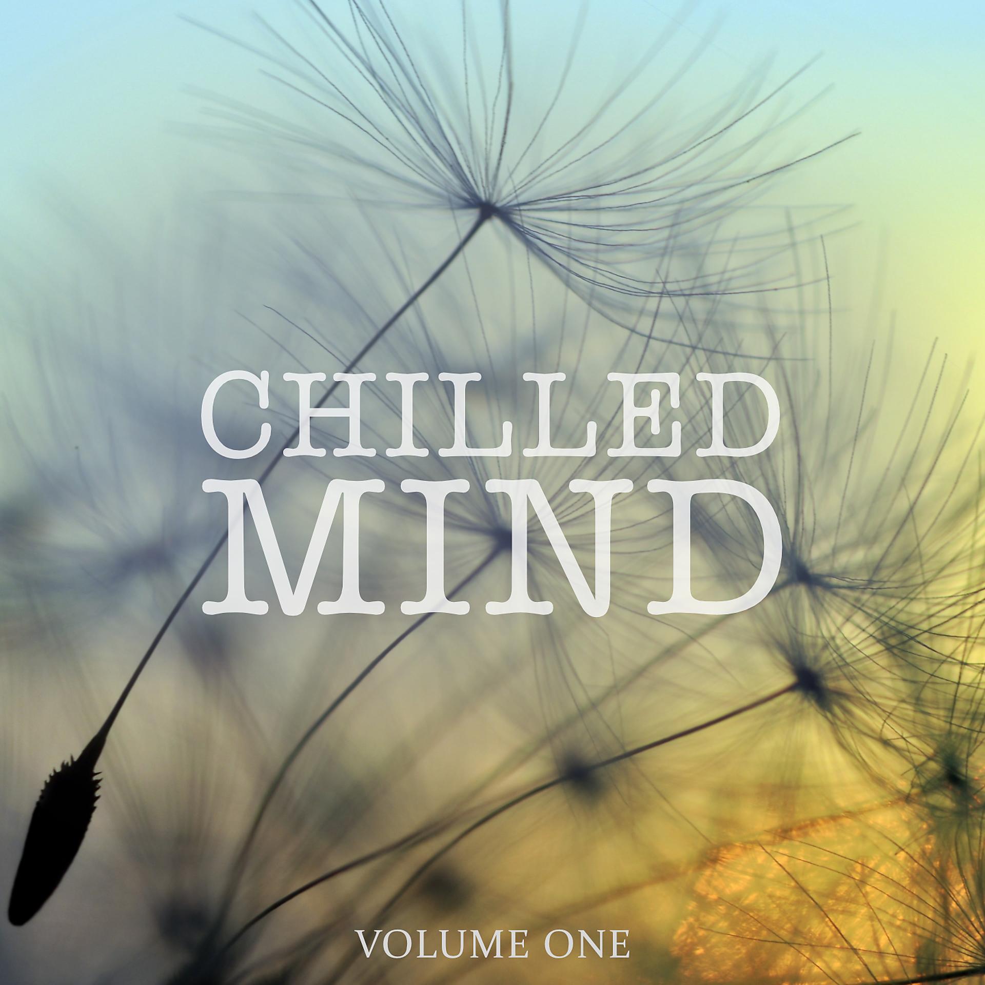 Постер альбома Chilled Mind, Vol. 1