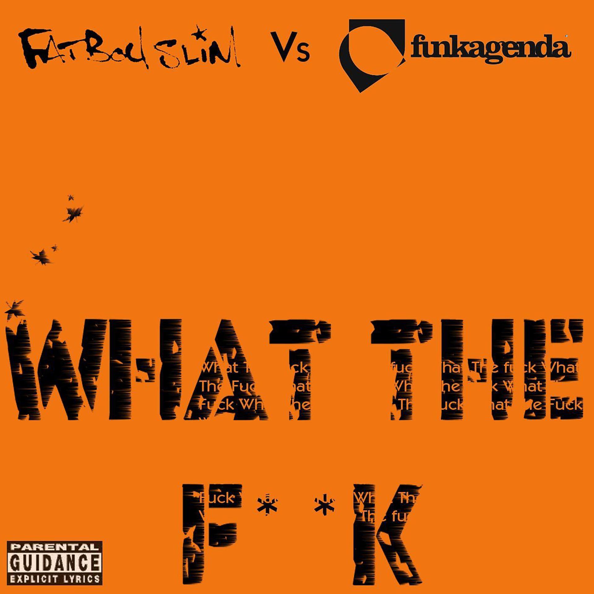 Постер альбома What the F**k (Funkagenda, Kim Fai Maxie Devine and Veerus Remixes) [Fatboy Slim vs. Funkagenda]