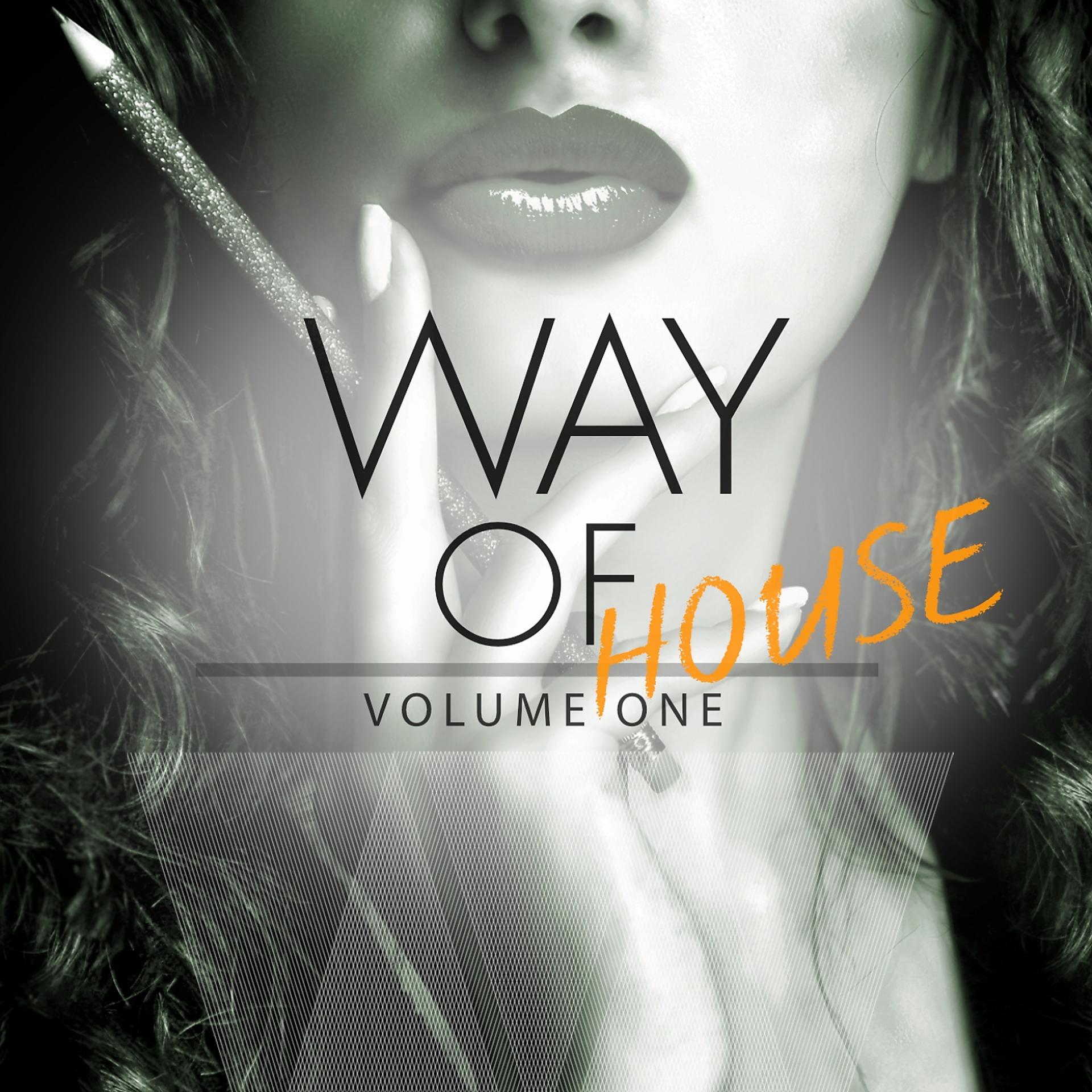 Постер альбома Way Of House, Vol. 1