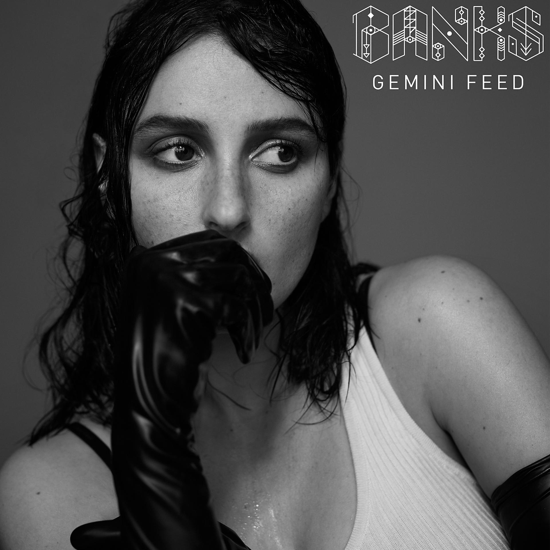 Постер альбома Gemini Feed