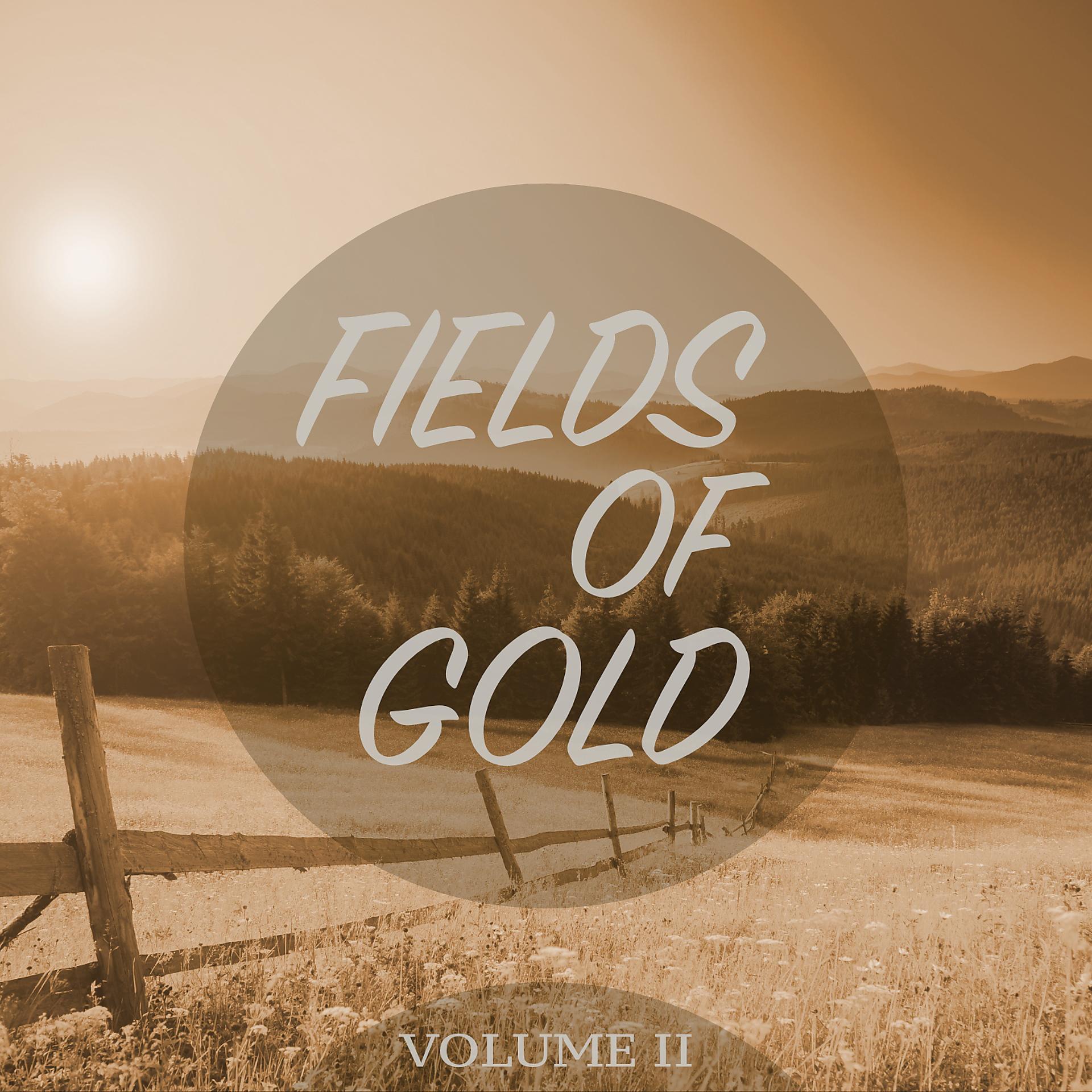 Постер альбома Fields Of Gold, Vol. 2