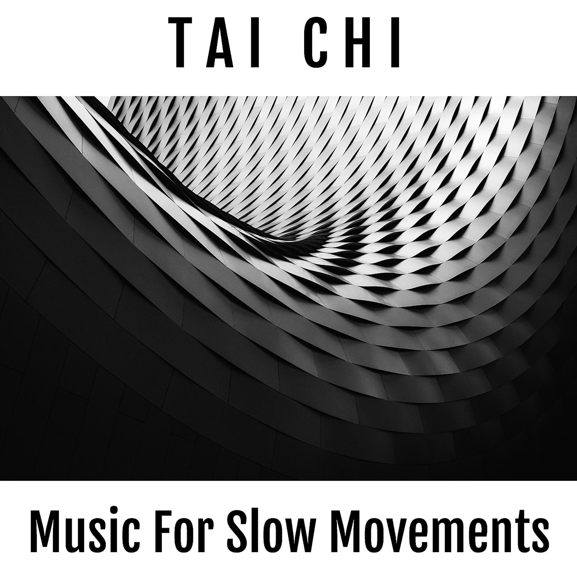 Постер альбома Tai Chi: Electronic Music For Slow Movements