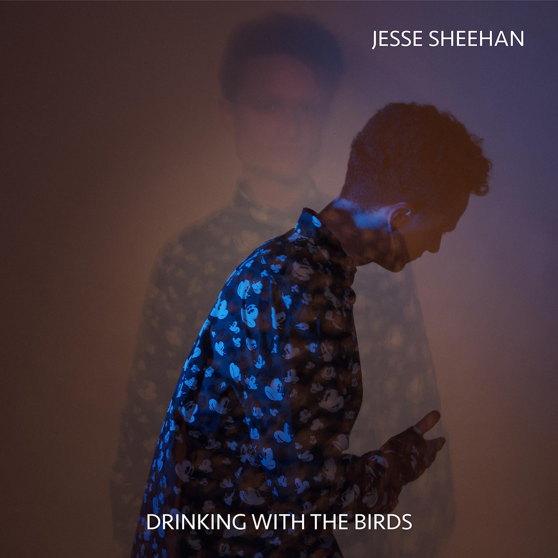 Постер альбома Drinking With The Birds