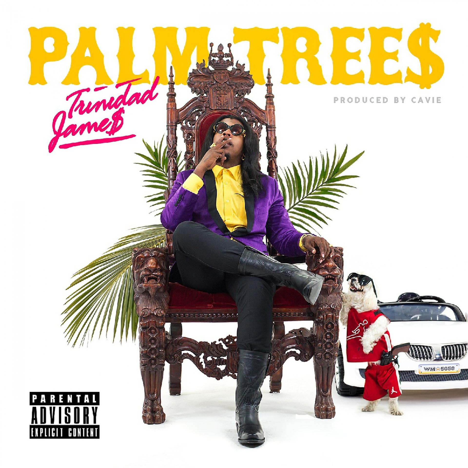 Постер альбома Palm Trees - Single