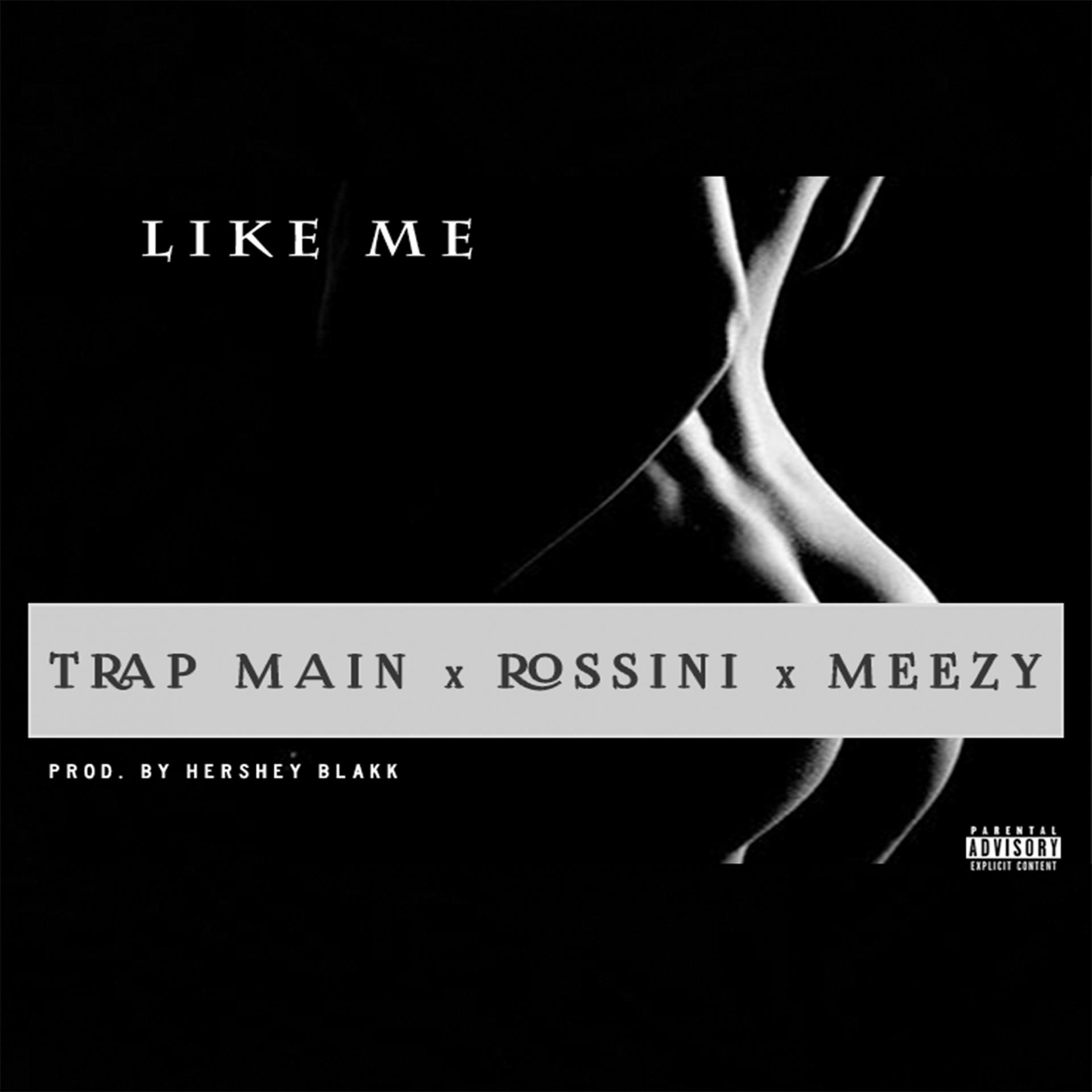 Постер альбома Like Me (feat. Trap Main & Meezy) - Single