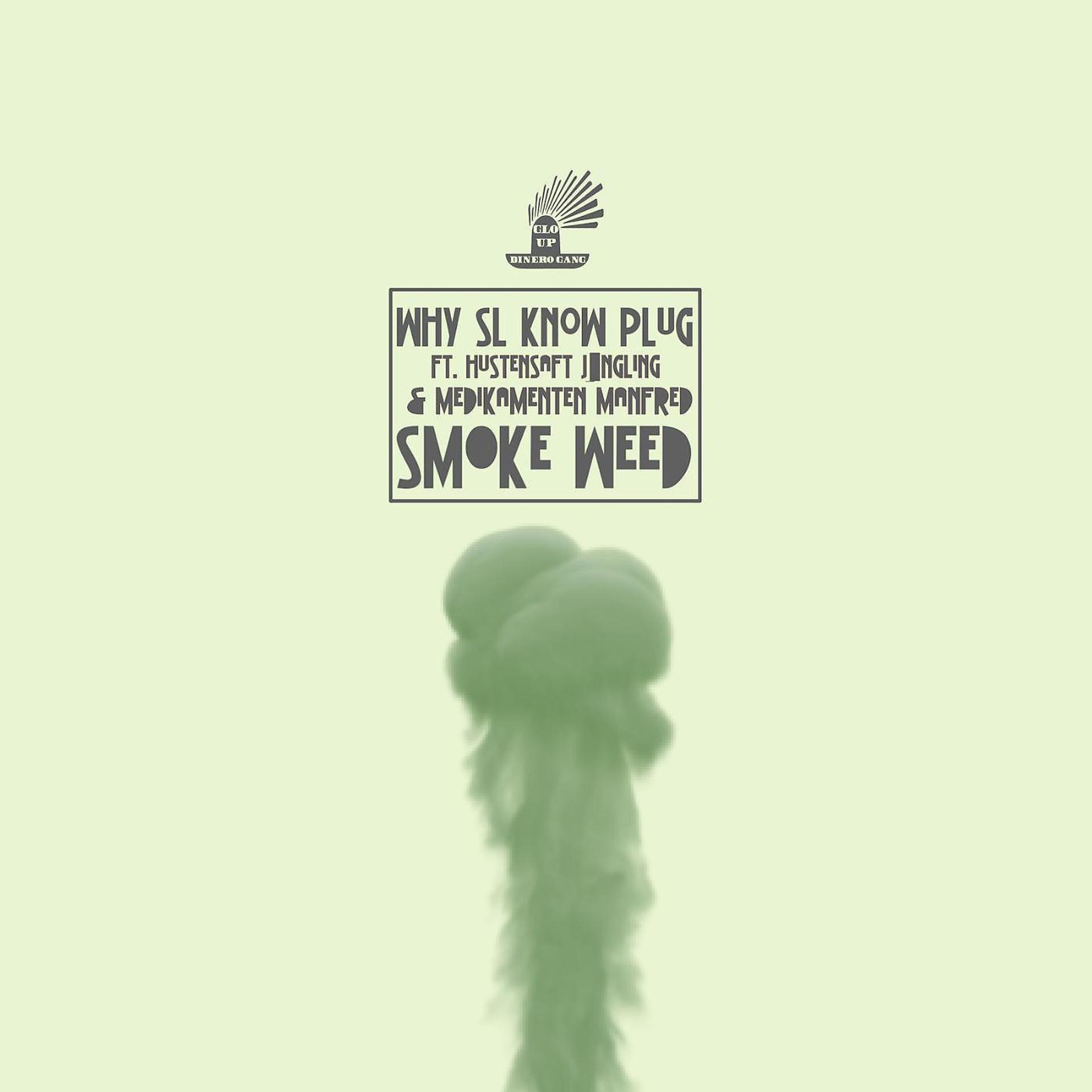Постер альбома Smoke Weed (feat. Hustensaft Jüngling & Medikamenten Manfred)