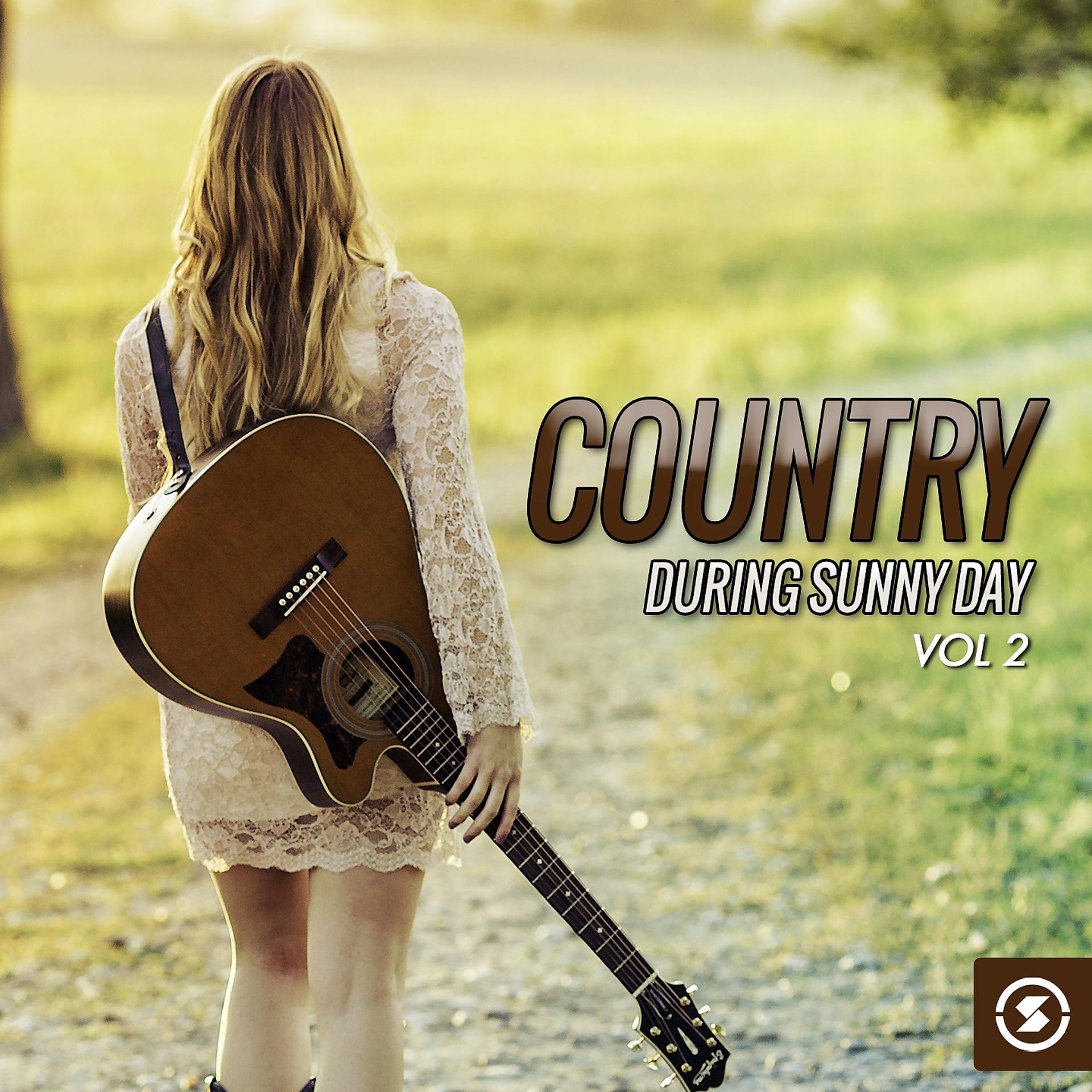 Постер альбома Country During Sunny Day, Vol. 2