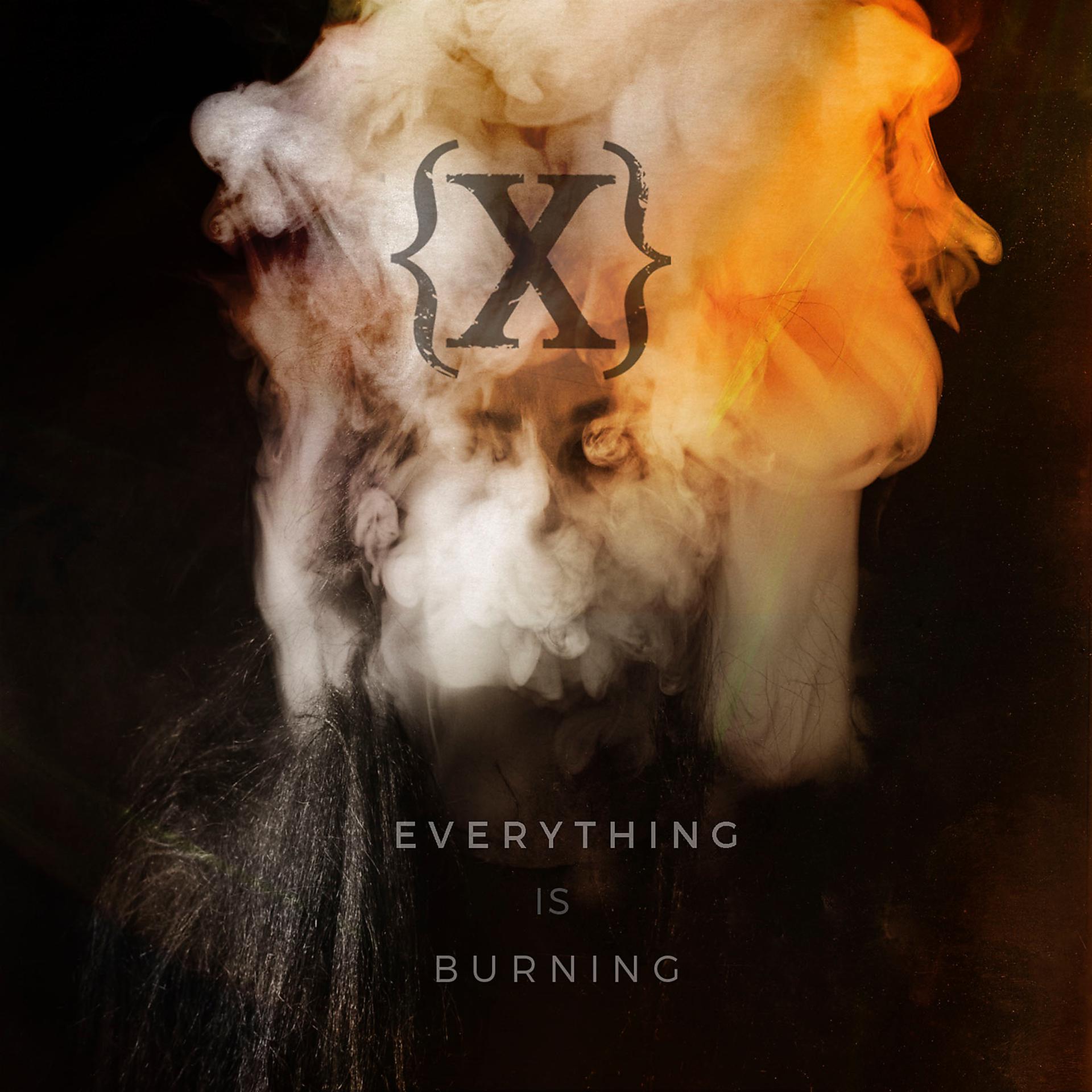 Постер альбома Everything Is Burning (Metanoia Addendum)