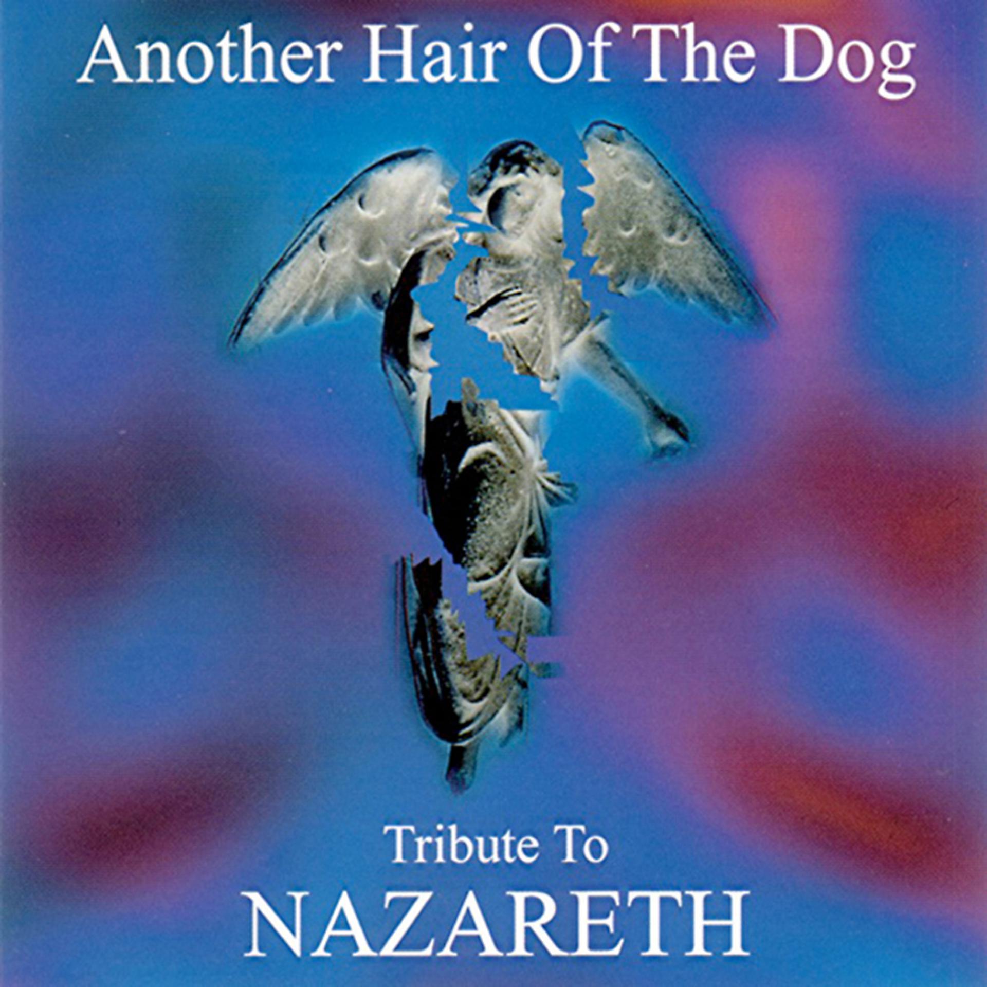 Постер альбома Another Hair Of The Dog: Tribute To Nazareth