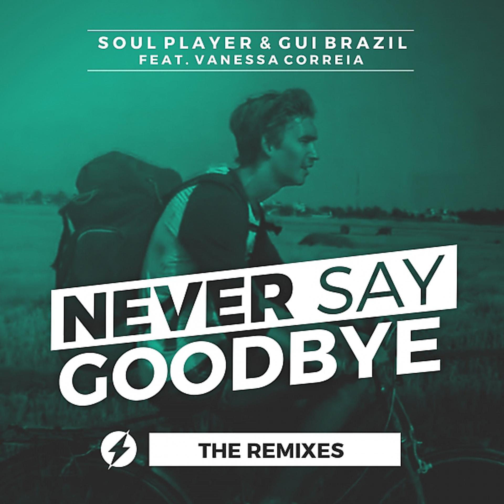 Постер альбома Never Say Goodbye (The Remixes)