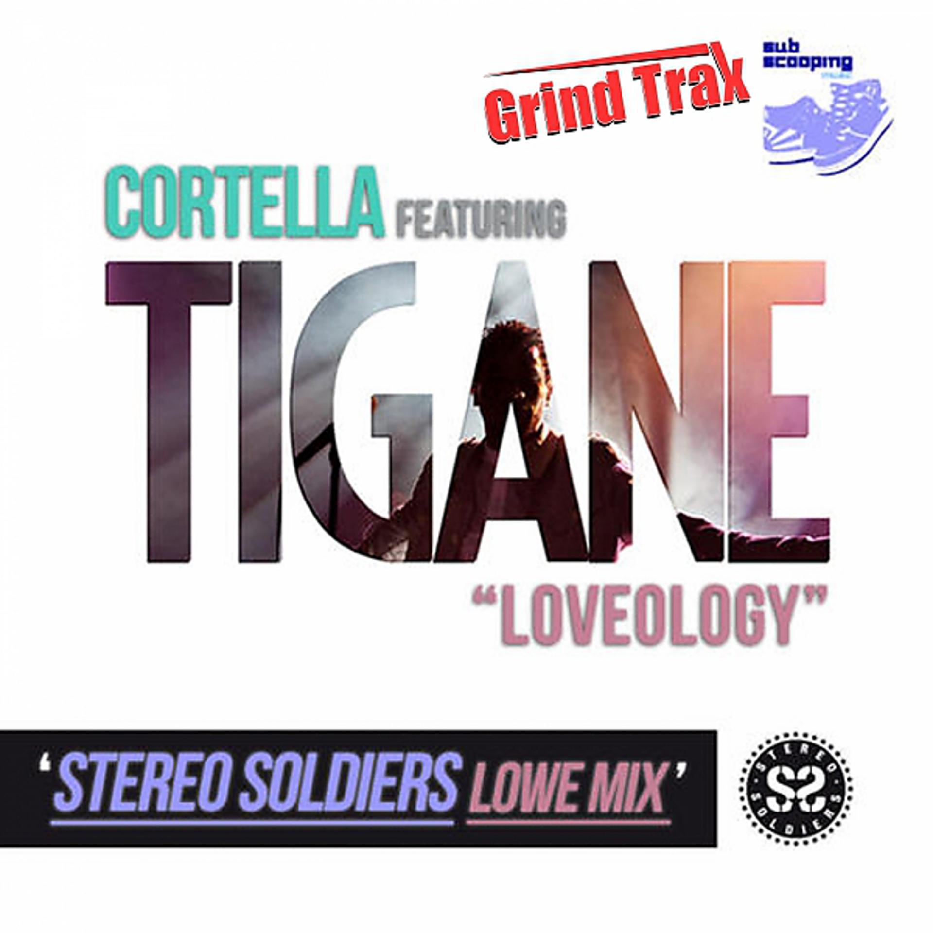 Постер альбома Loveology (Stereo Soldiers Lowe Mix)