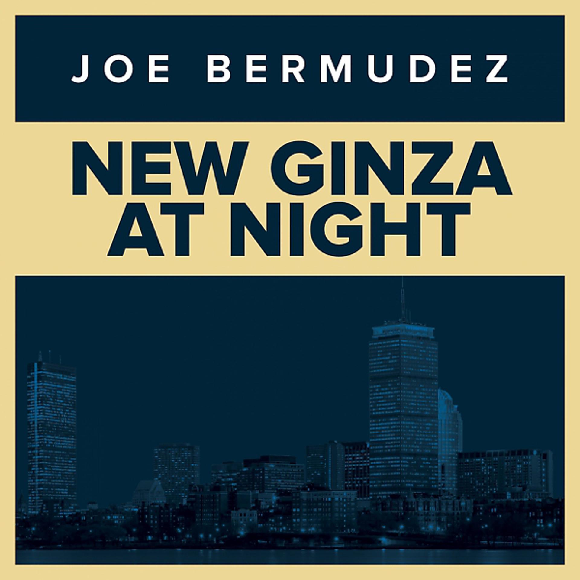 Постер альбома New Ginza At Night