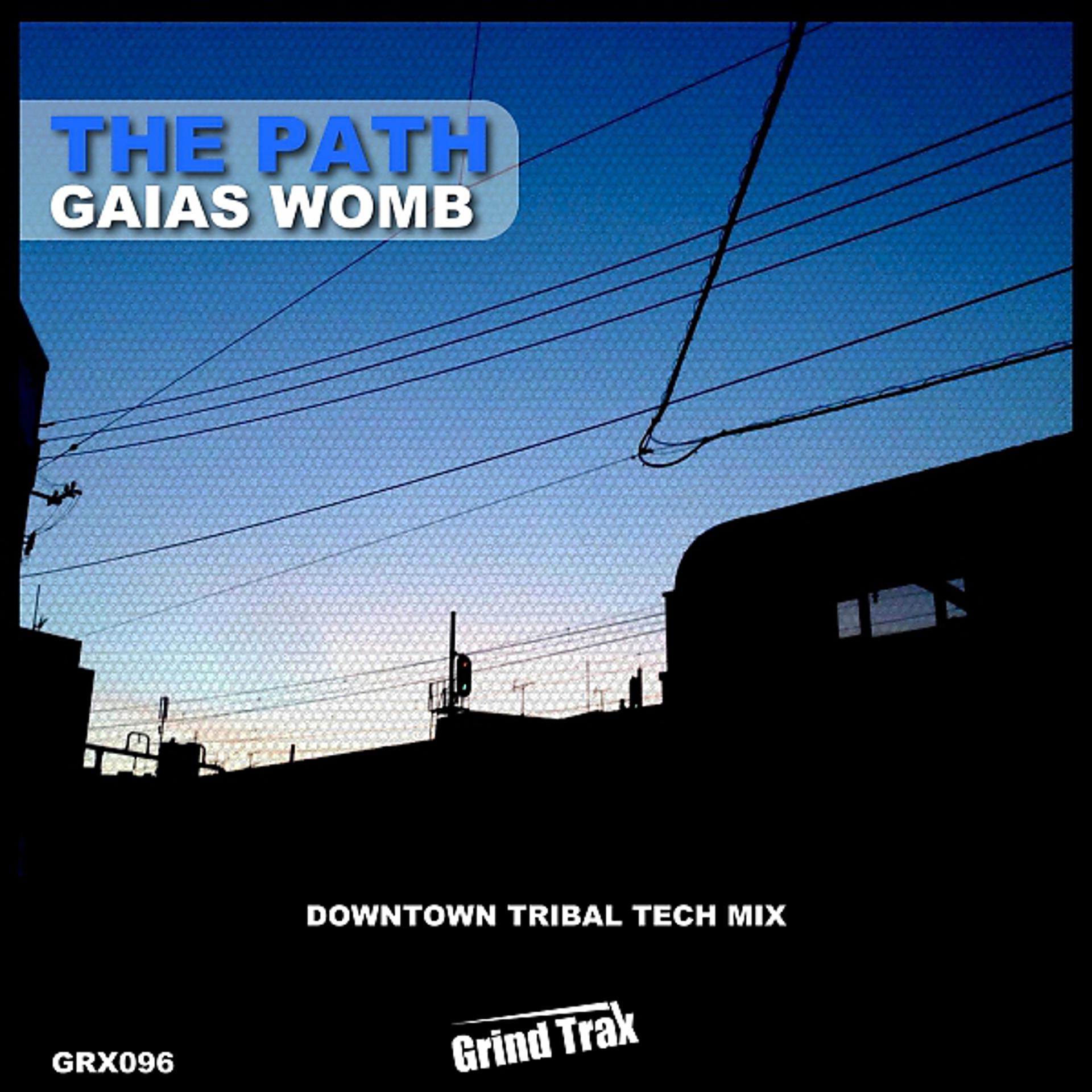 Постер альбома Gaias Womb (Downtown Tribal Tech Mix)