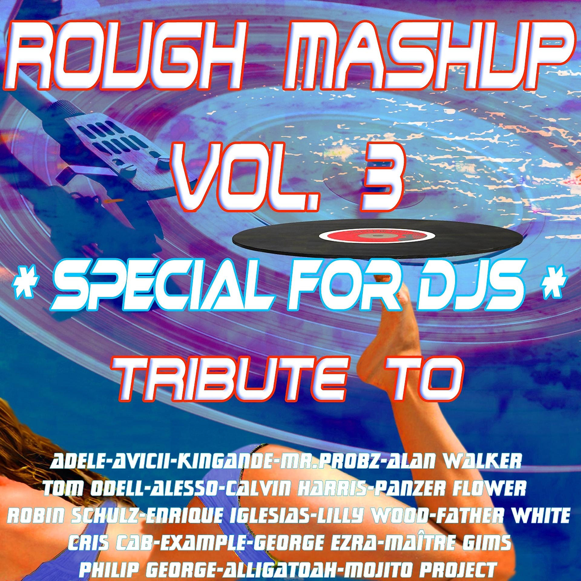 Постер альбома Rough Mashup, Vol. 3