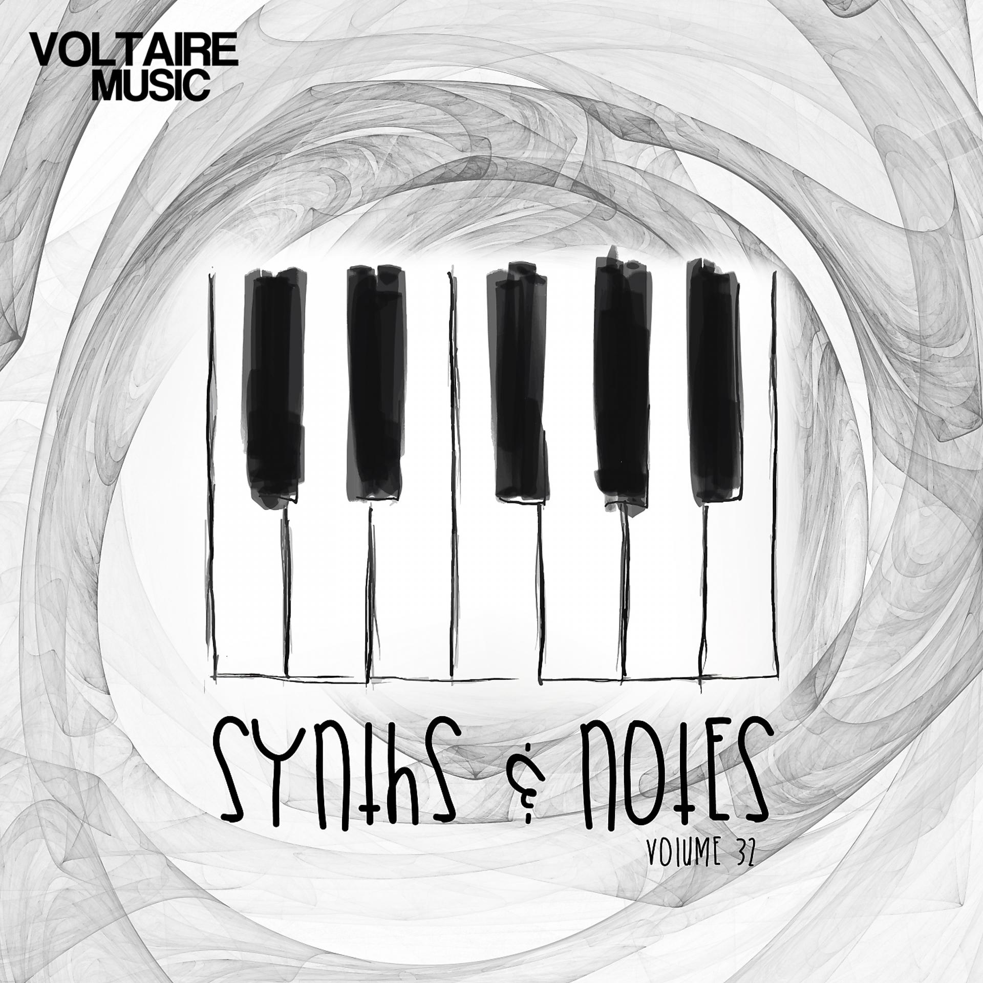 Постер альбома Synths And Notes 32