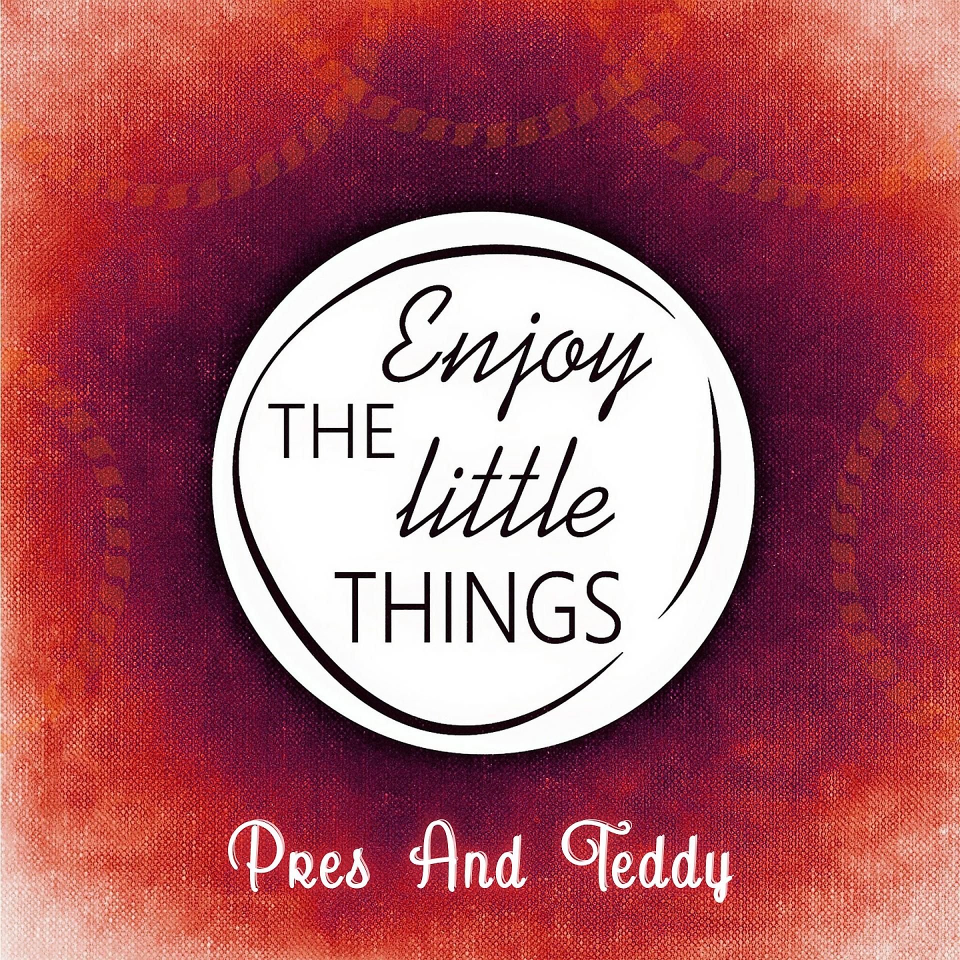 Постер альбома Enjoy The Little Things