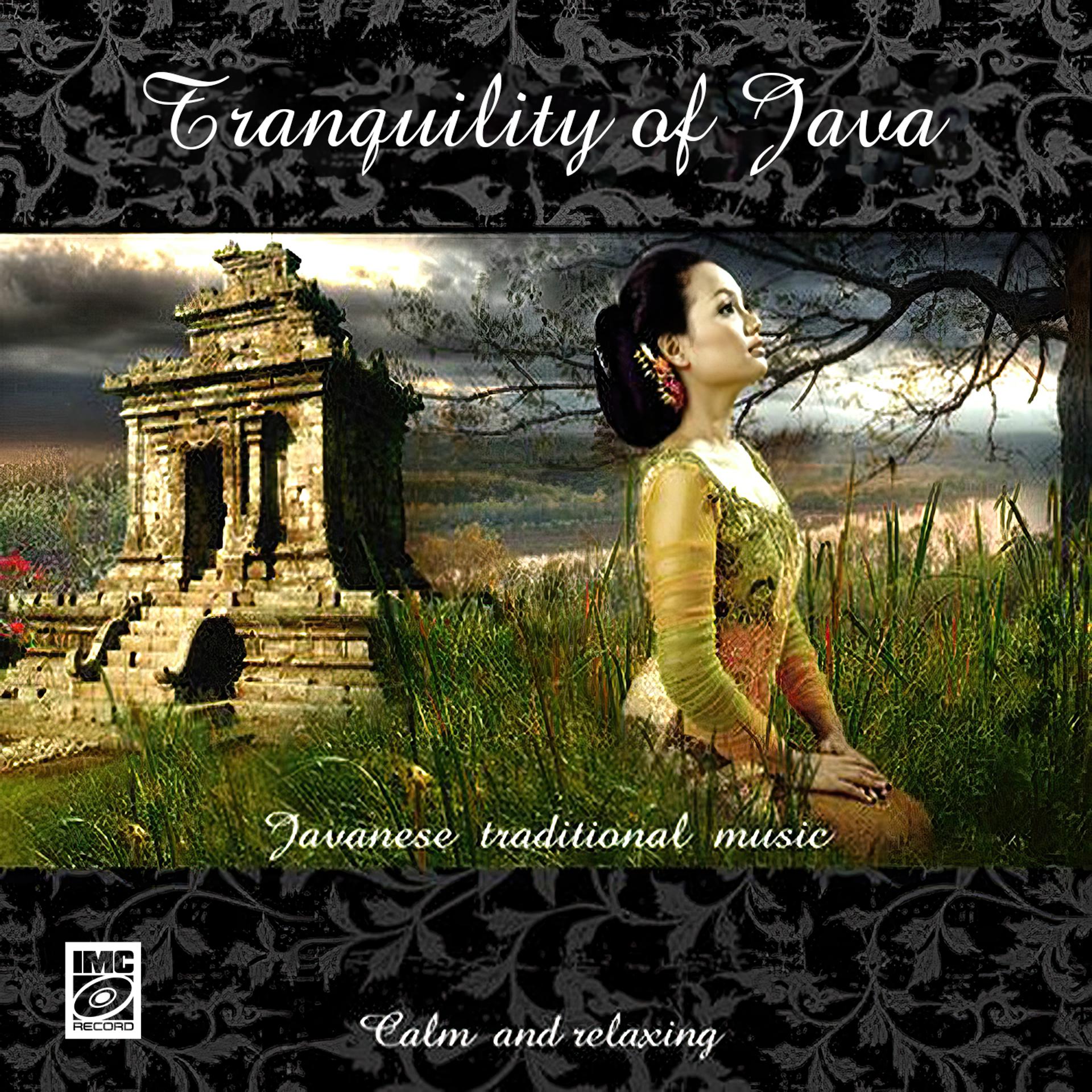 Постер альбома Tranquility of Java