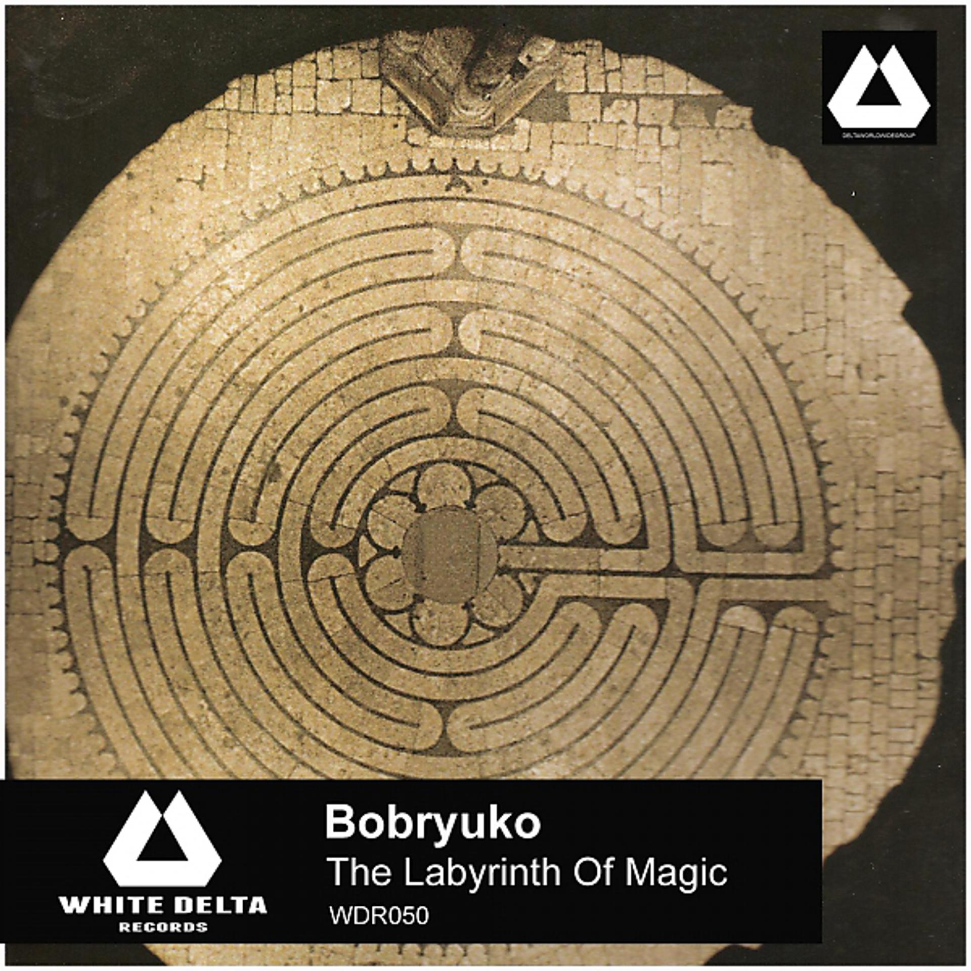 Постер альбома The Labyrinth Of Magic