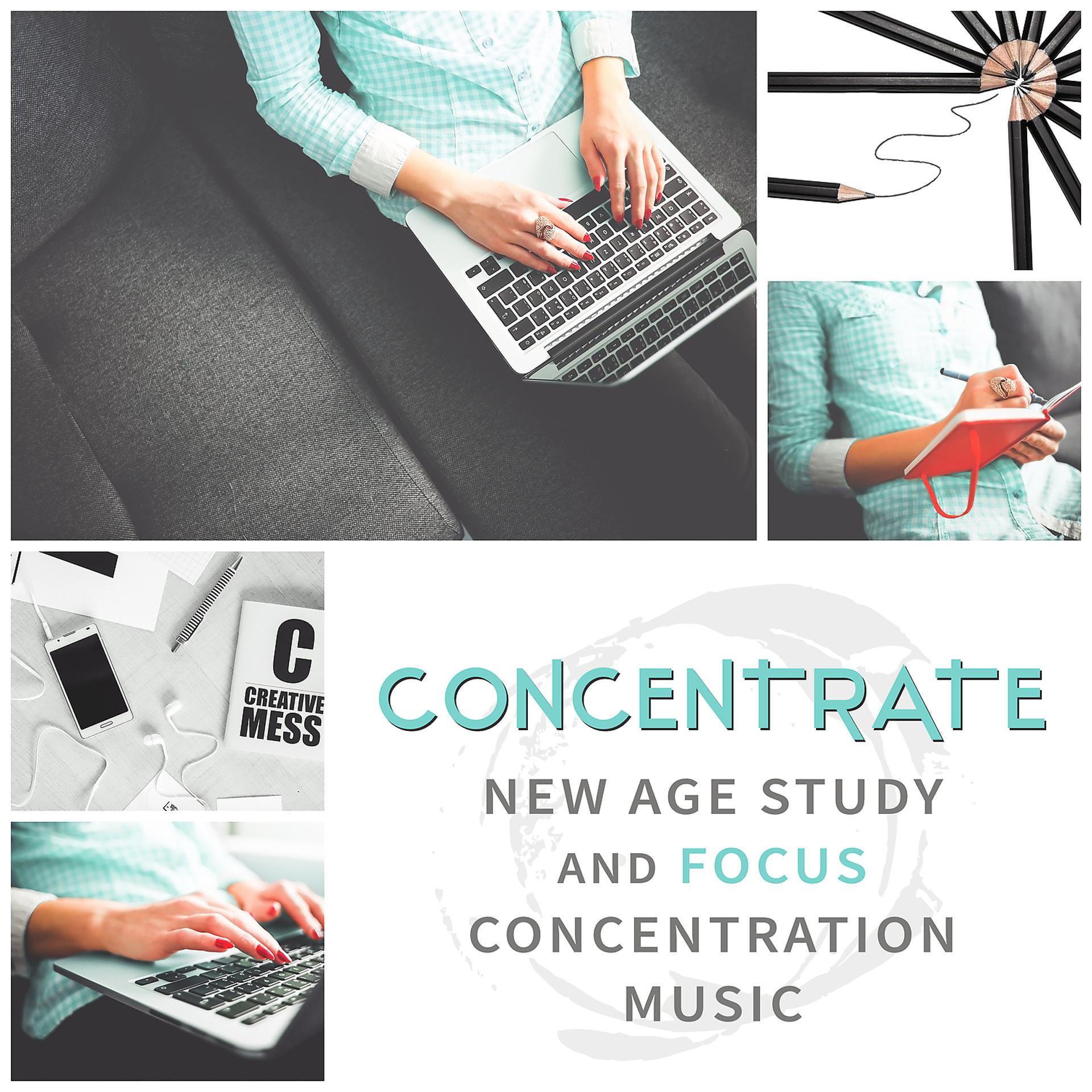 Постер альбома Concentrate: New Age Study and Focus Concentration Music, Perfect for Brain Power, Fast Studying and Working, Improve Learning and Memory, Reiki Zen and Spa Massage
