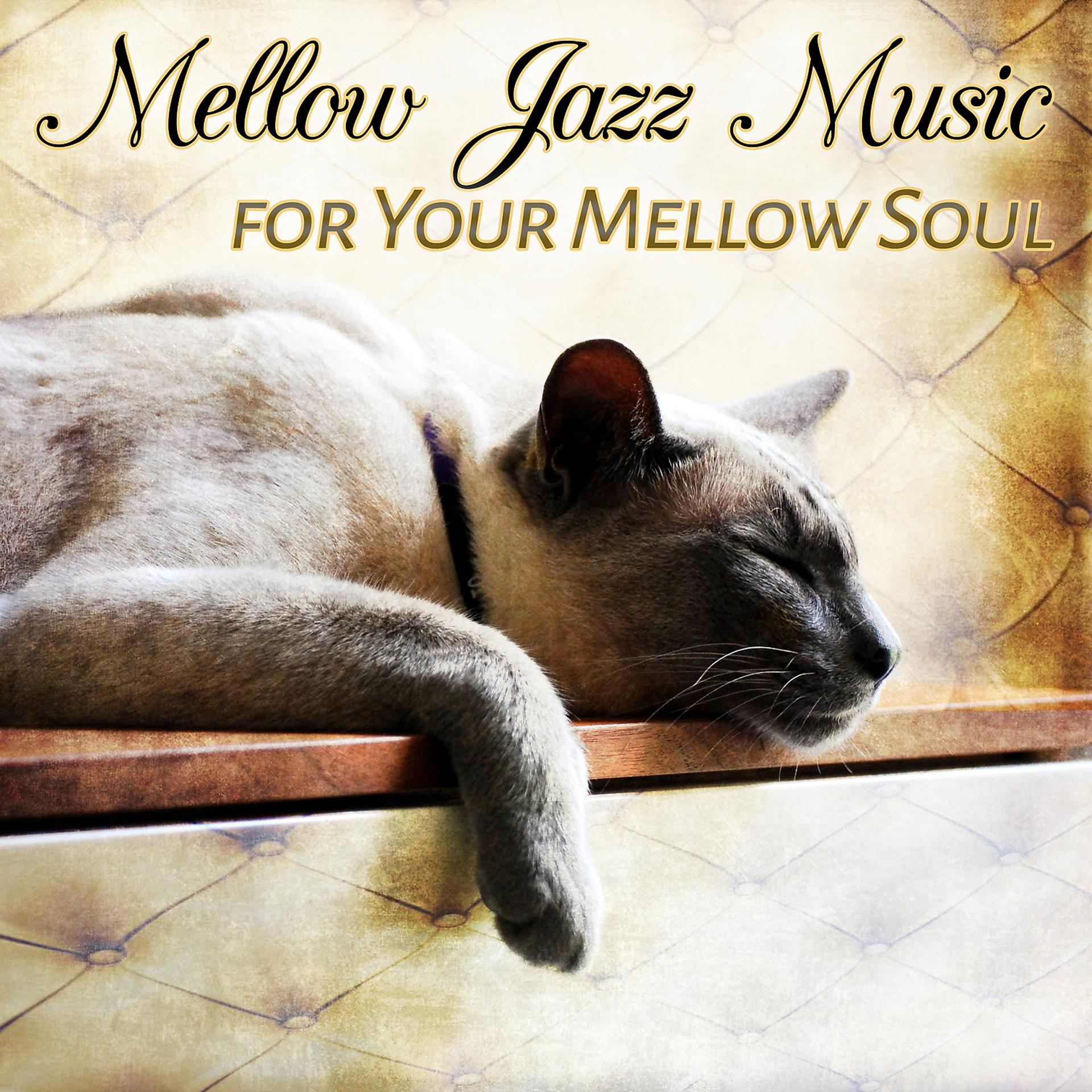 Постер альбома Mellow Jazz Music for Your Mellow Soul: Instrumental Background for Sofa Evenings Chill, Dinner, Cafe Bar