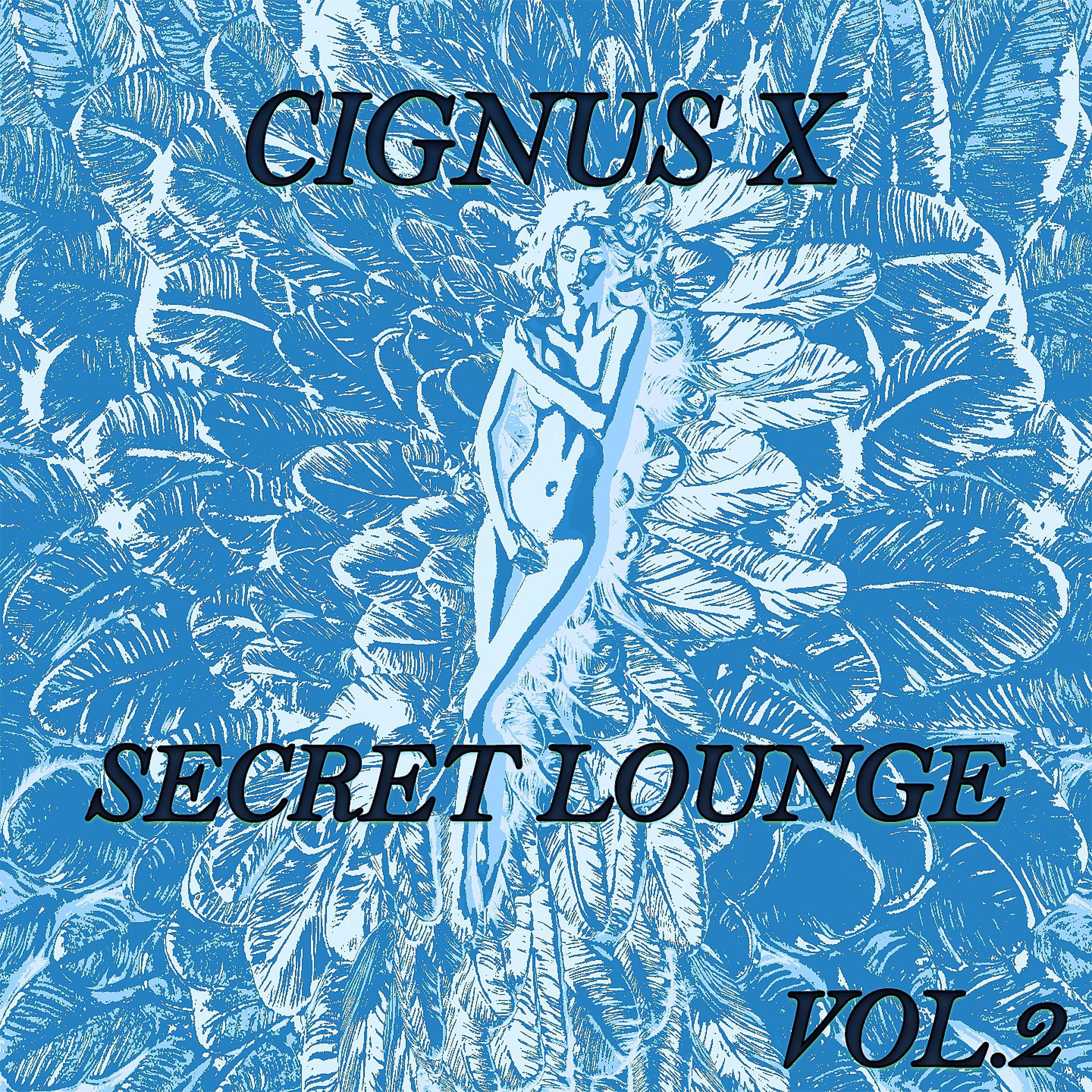 Постер альбома Secret Lounge, Vol. 2