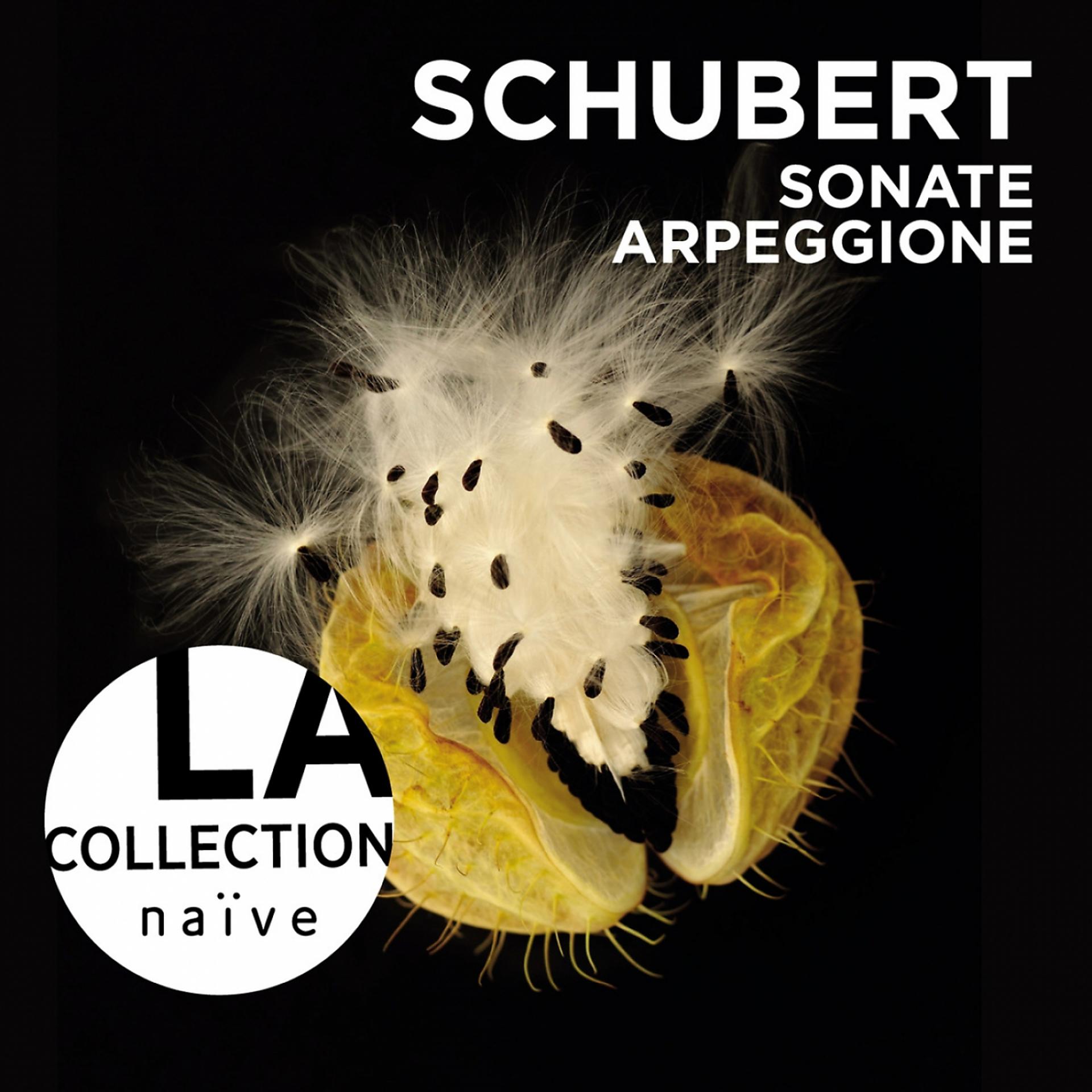 Постер альбома Schubert: Sonate Arpeggione