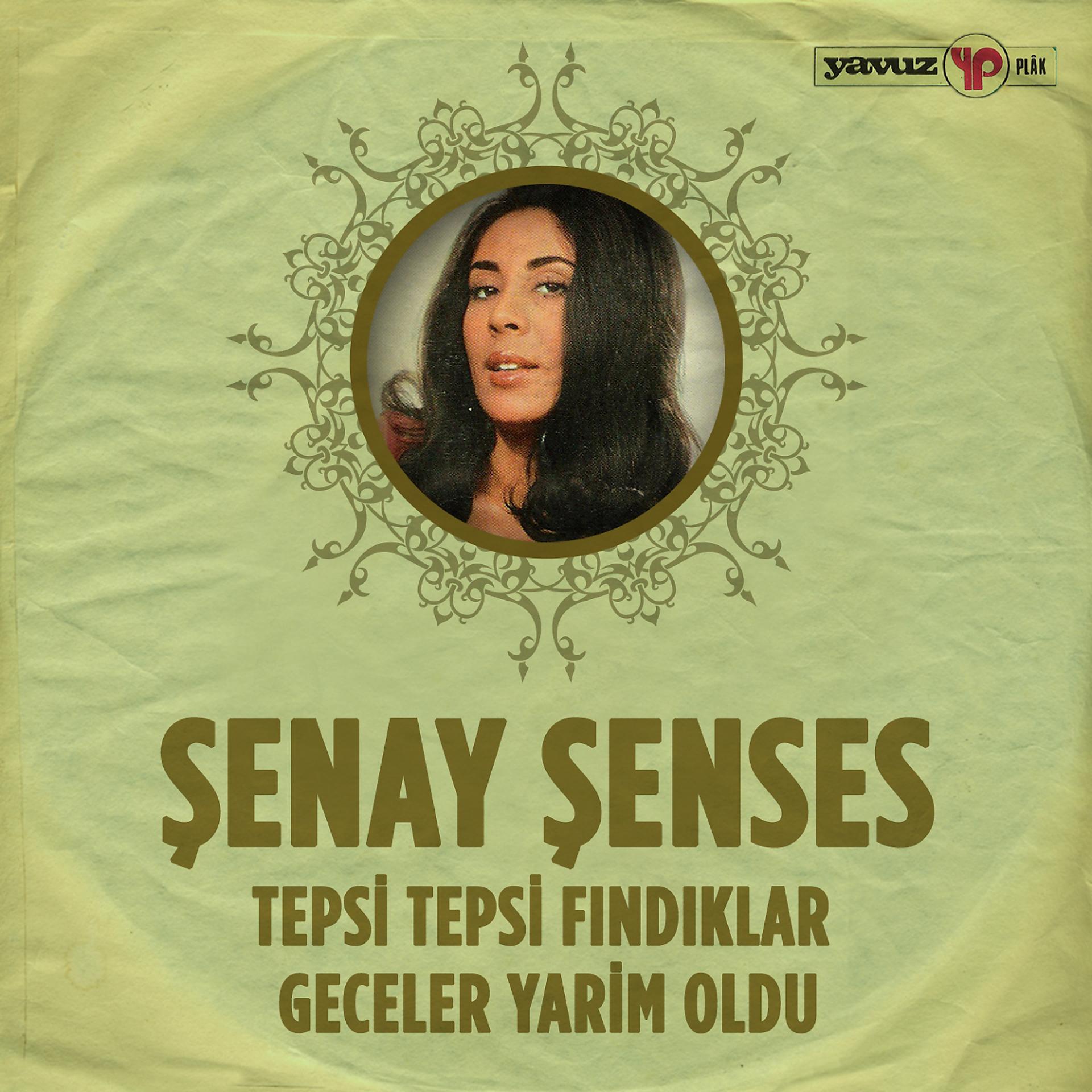Постер альбома Tepsi Tepsi Fındıklar - Geceler Yarim Oldu