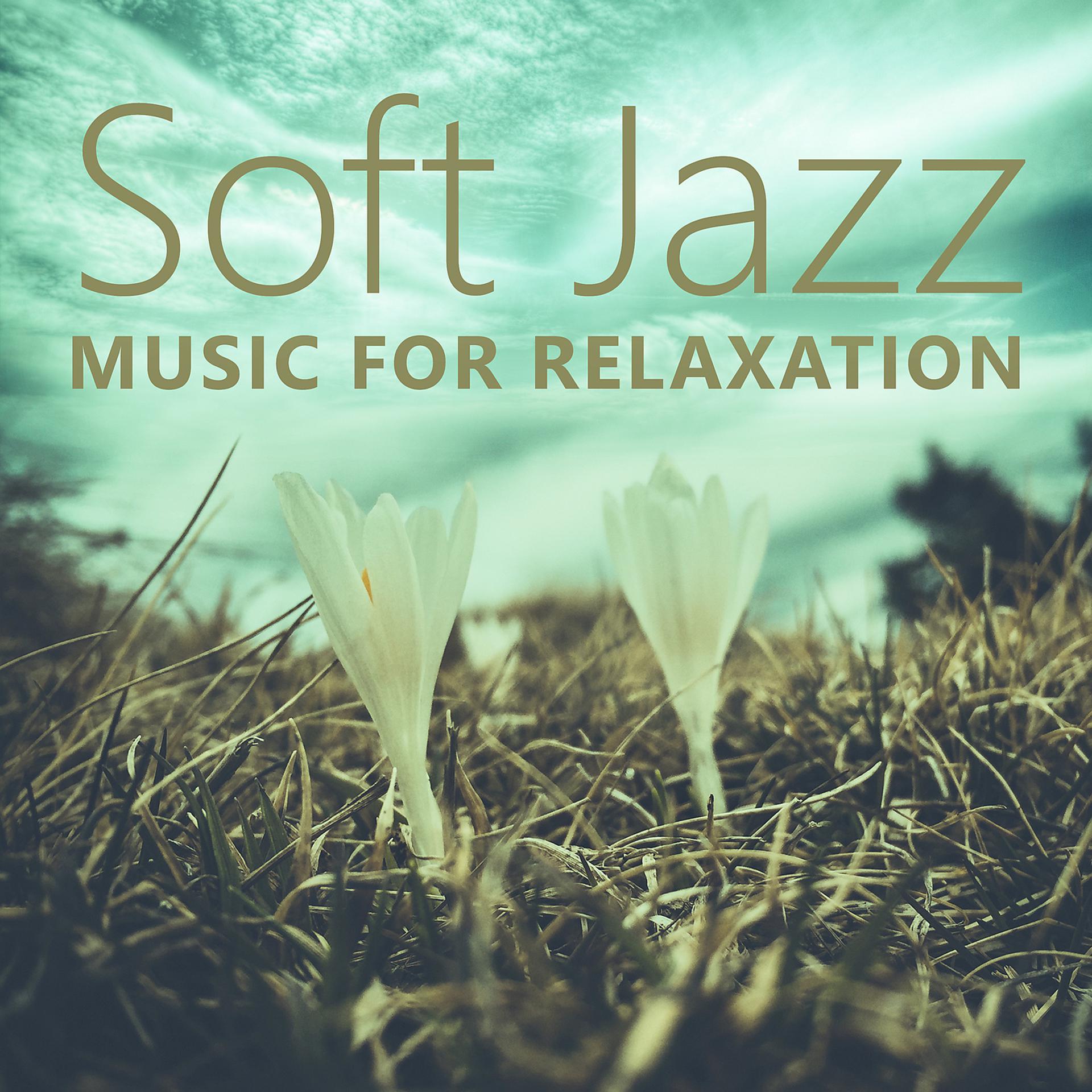 Постер альбома Soft Jazz Music for Relaxation – Chilled Music, Relaxing Sounds of Jazz, Smooth Saxophone, Rest with Jazz