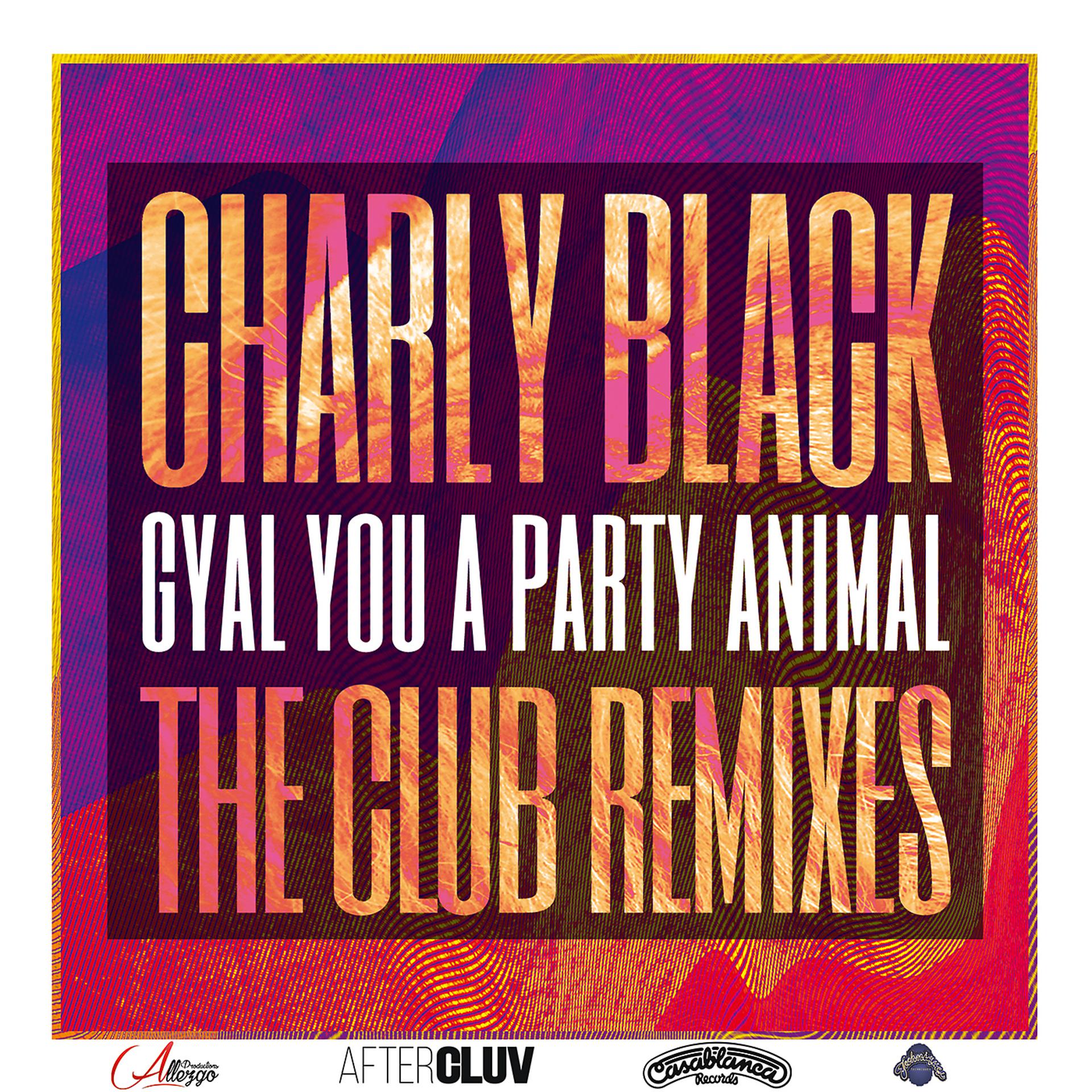 Постер альбома Gyal You A Party Animal