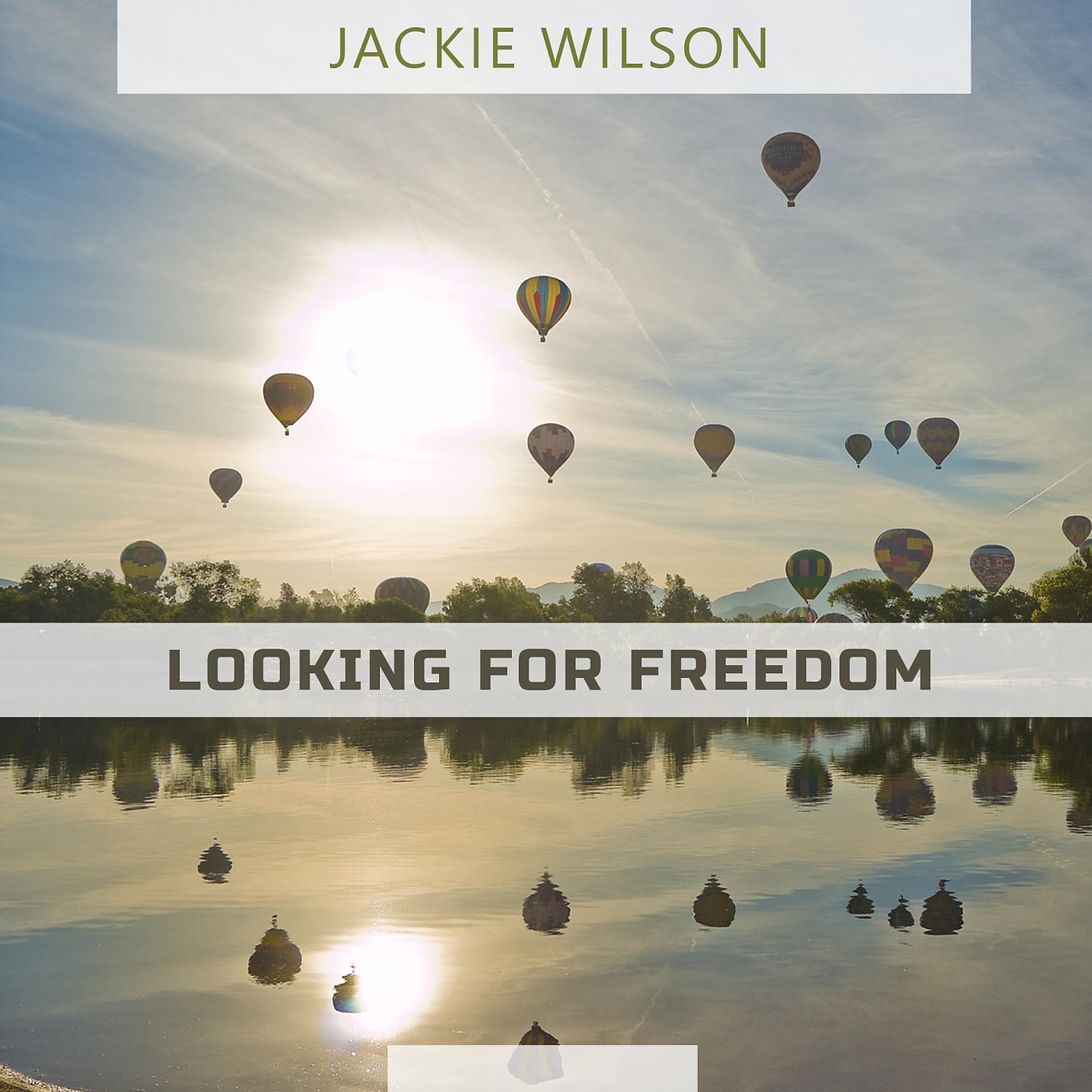 Постер альбома Looking For Freedom