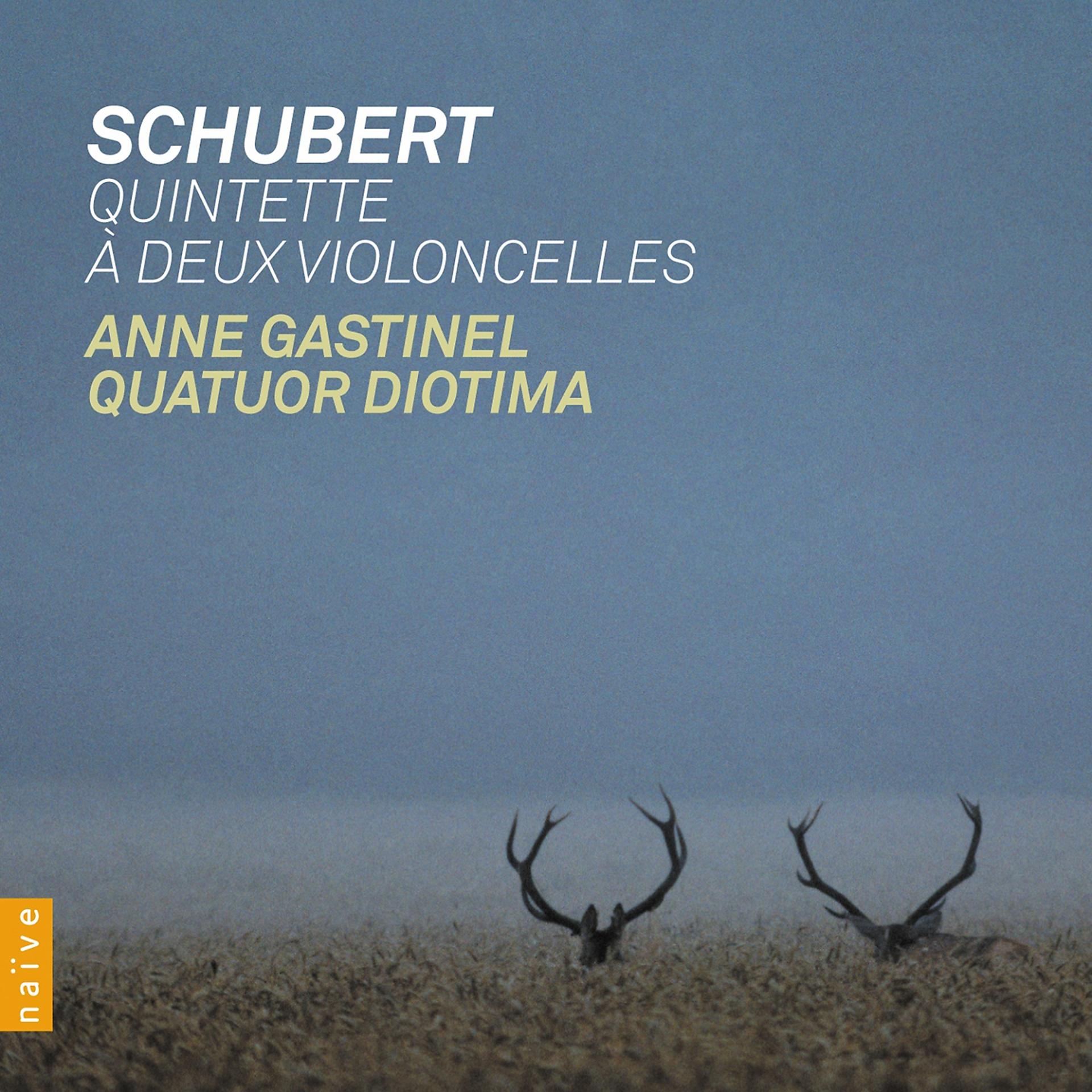 Постер альбома Schubert: Quintette à deux violoncelles