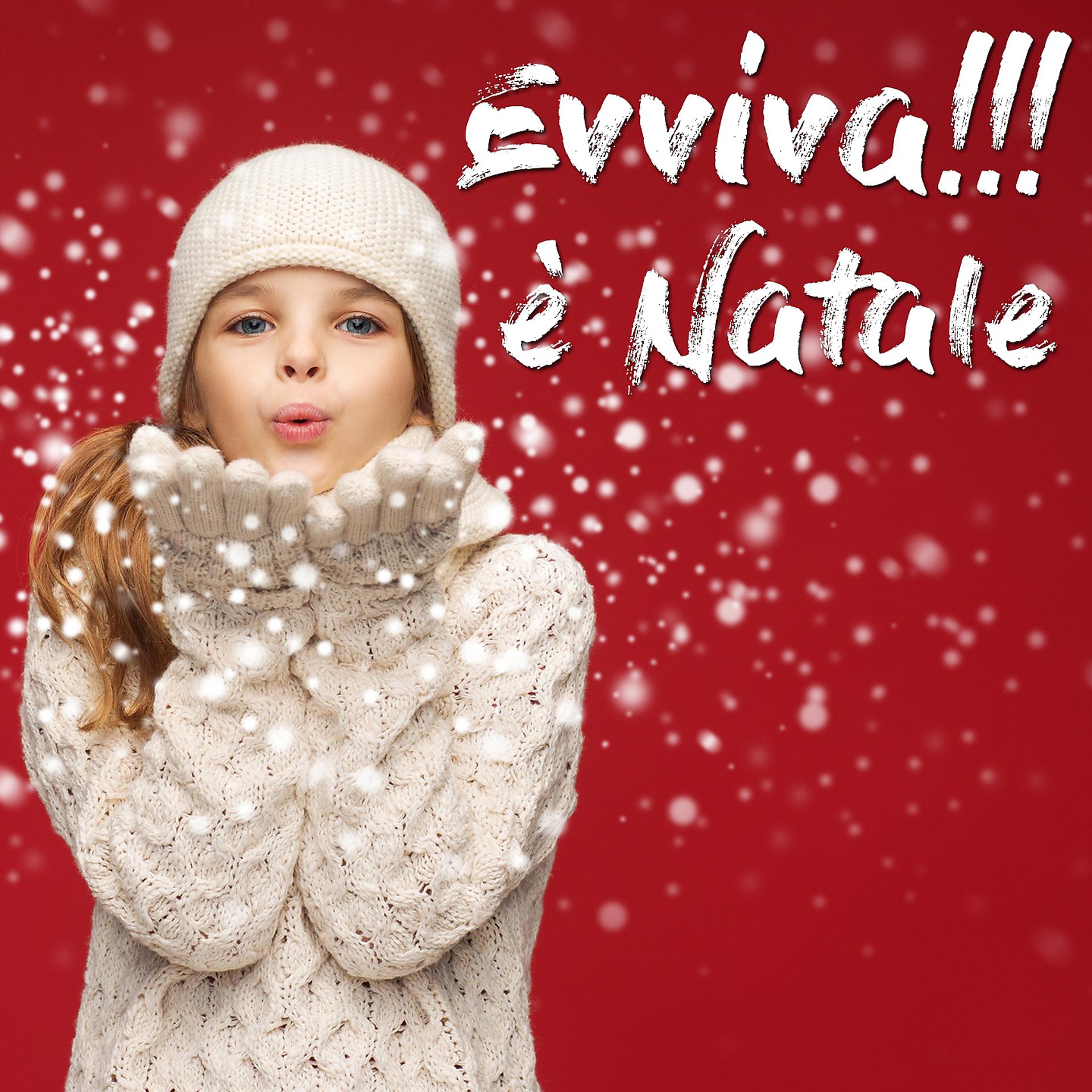 Постер альбома Evviva è Natale!